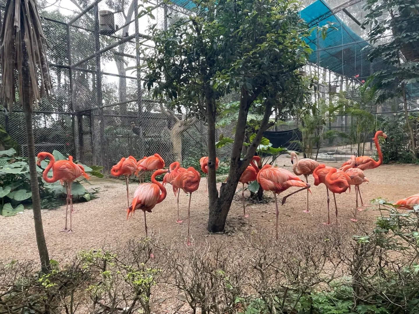 南宁动物园旅行图片 3