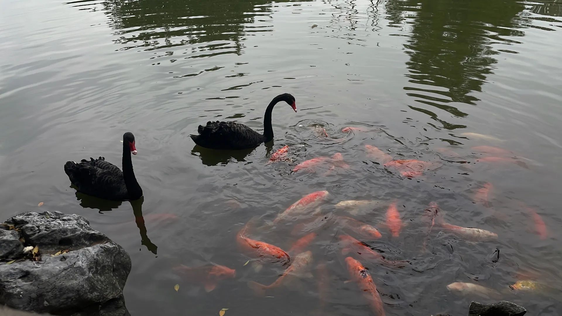 南宁动物园旅行图片 1
