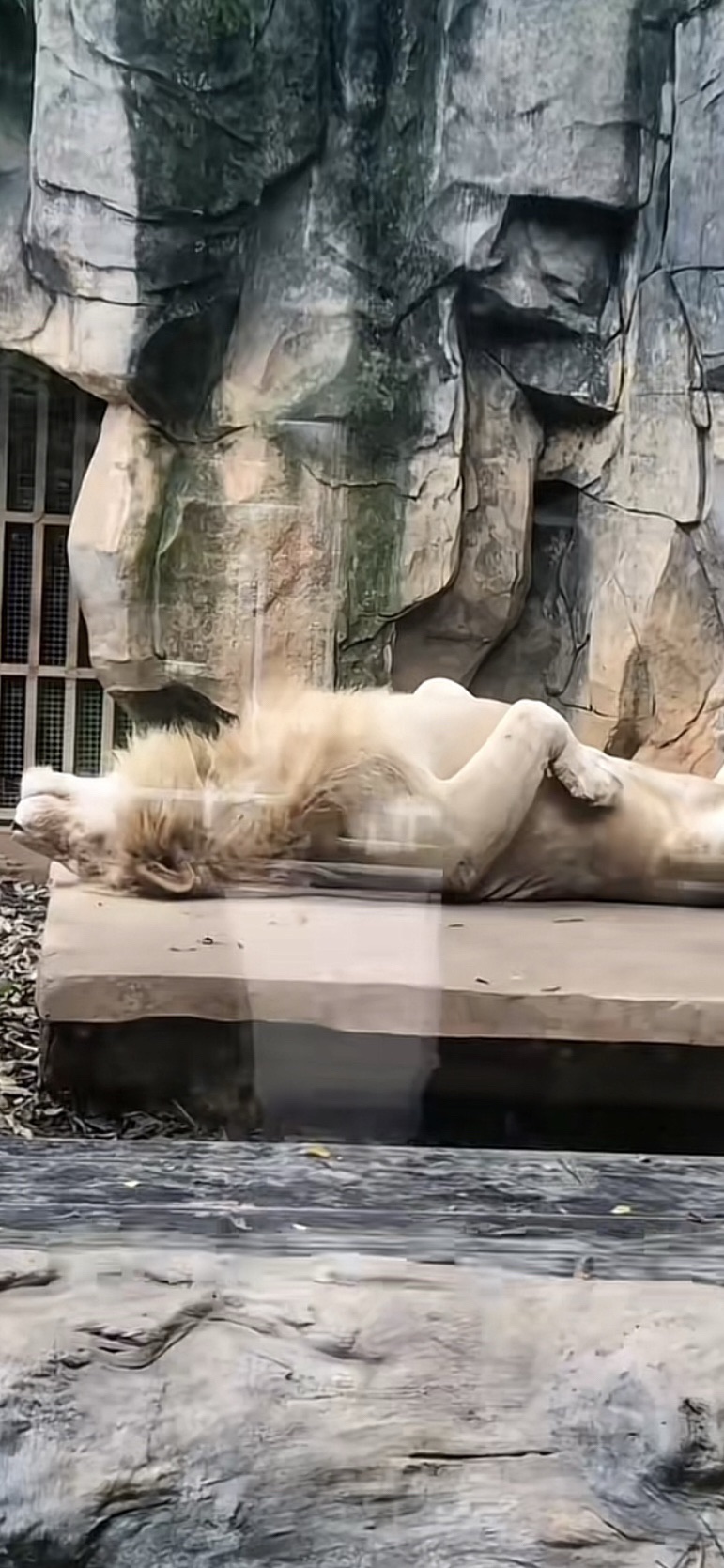 南宁动物园旅行图片 1