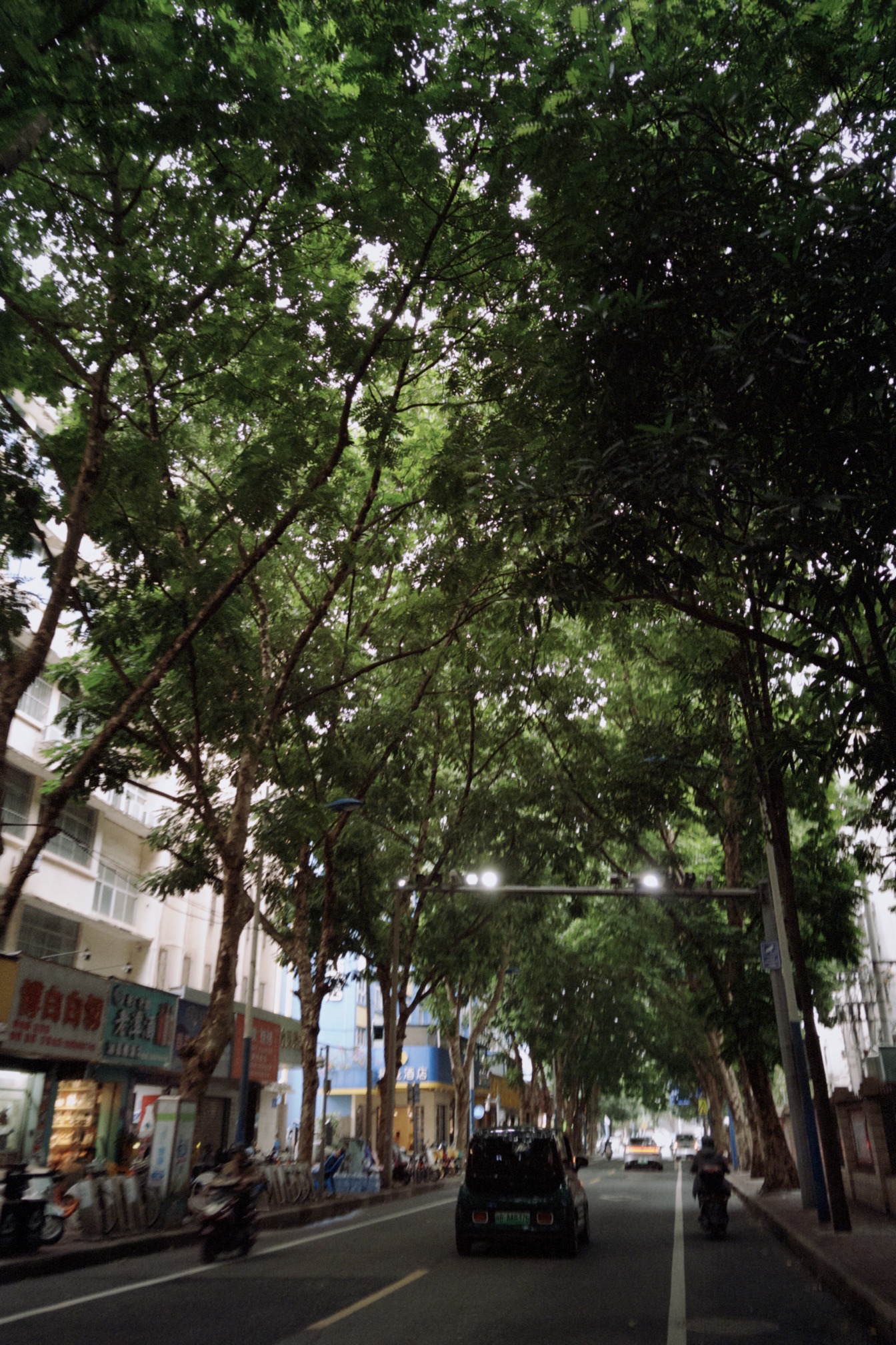 南宁市人民公园旅行图片 3