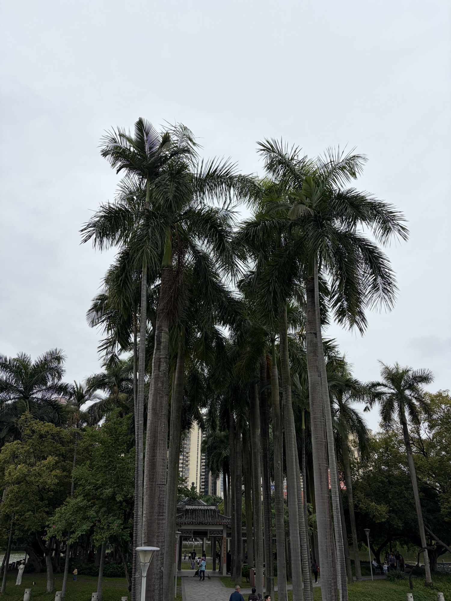 南宁市人民公园旅行图片 1