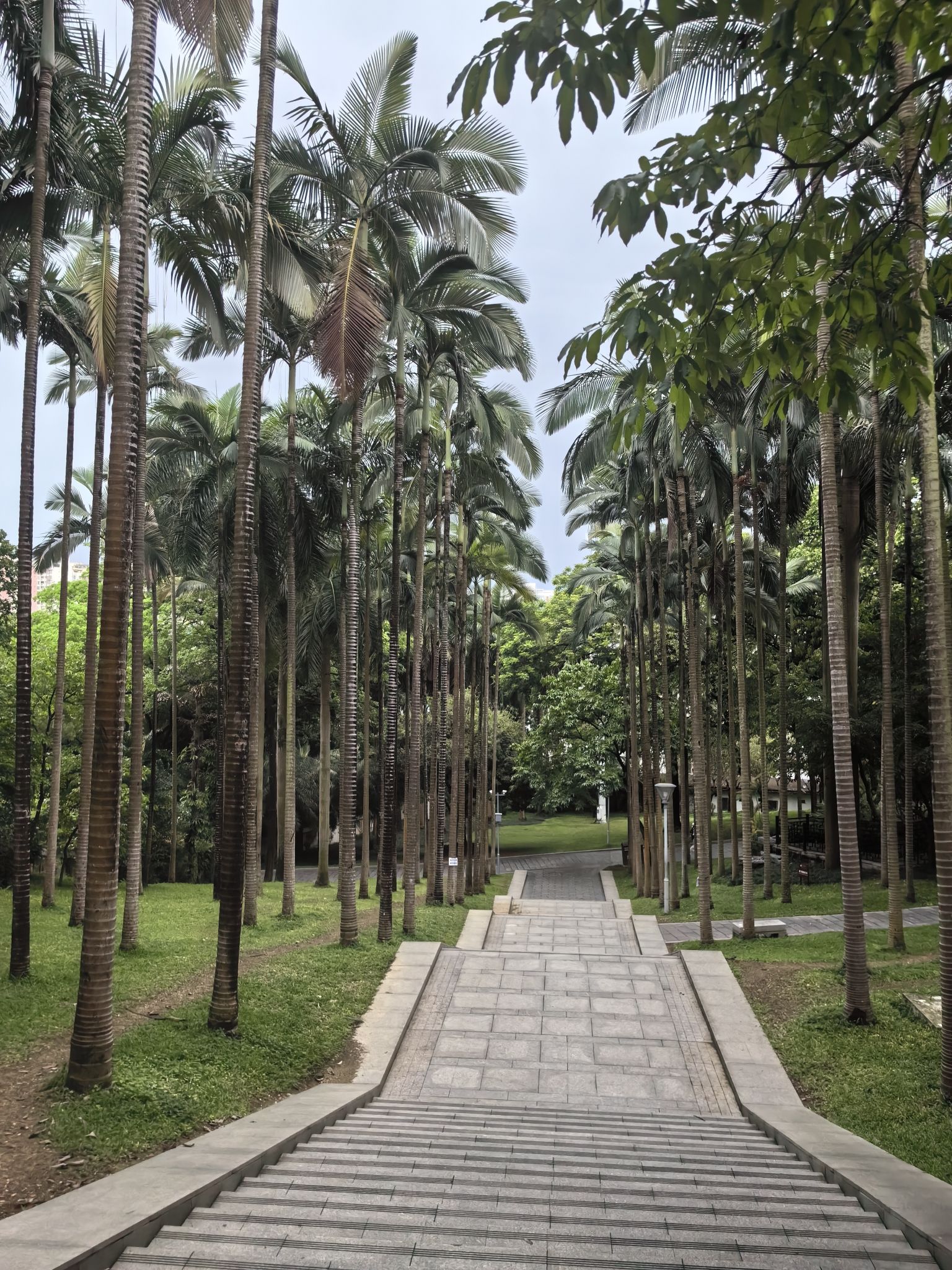 南宁市人民公园旅行图片 1