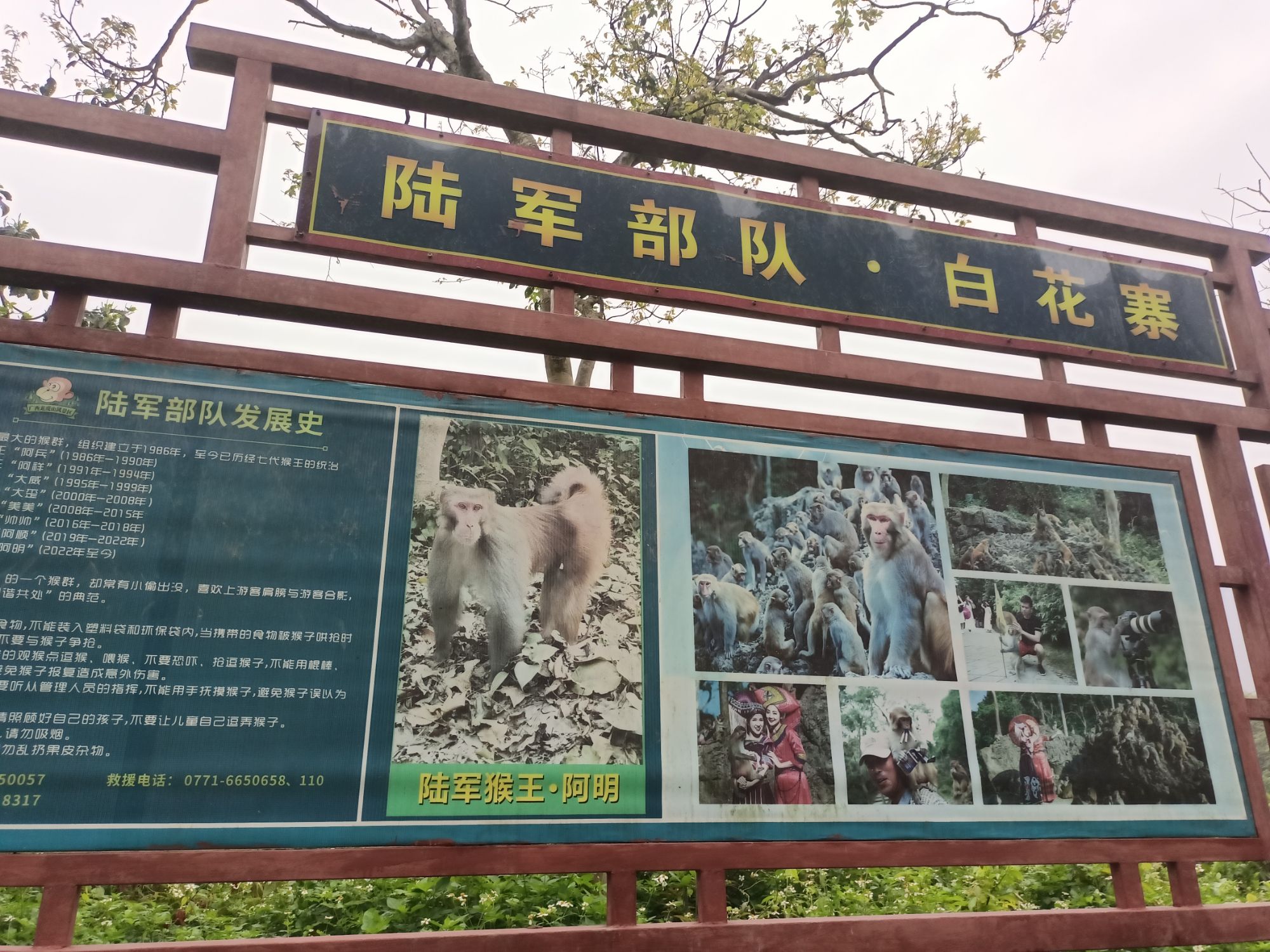 龙虎山旅行图片 1