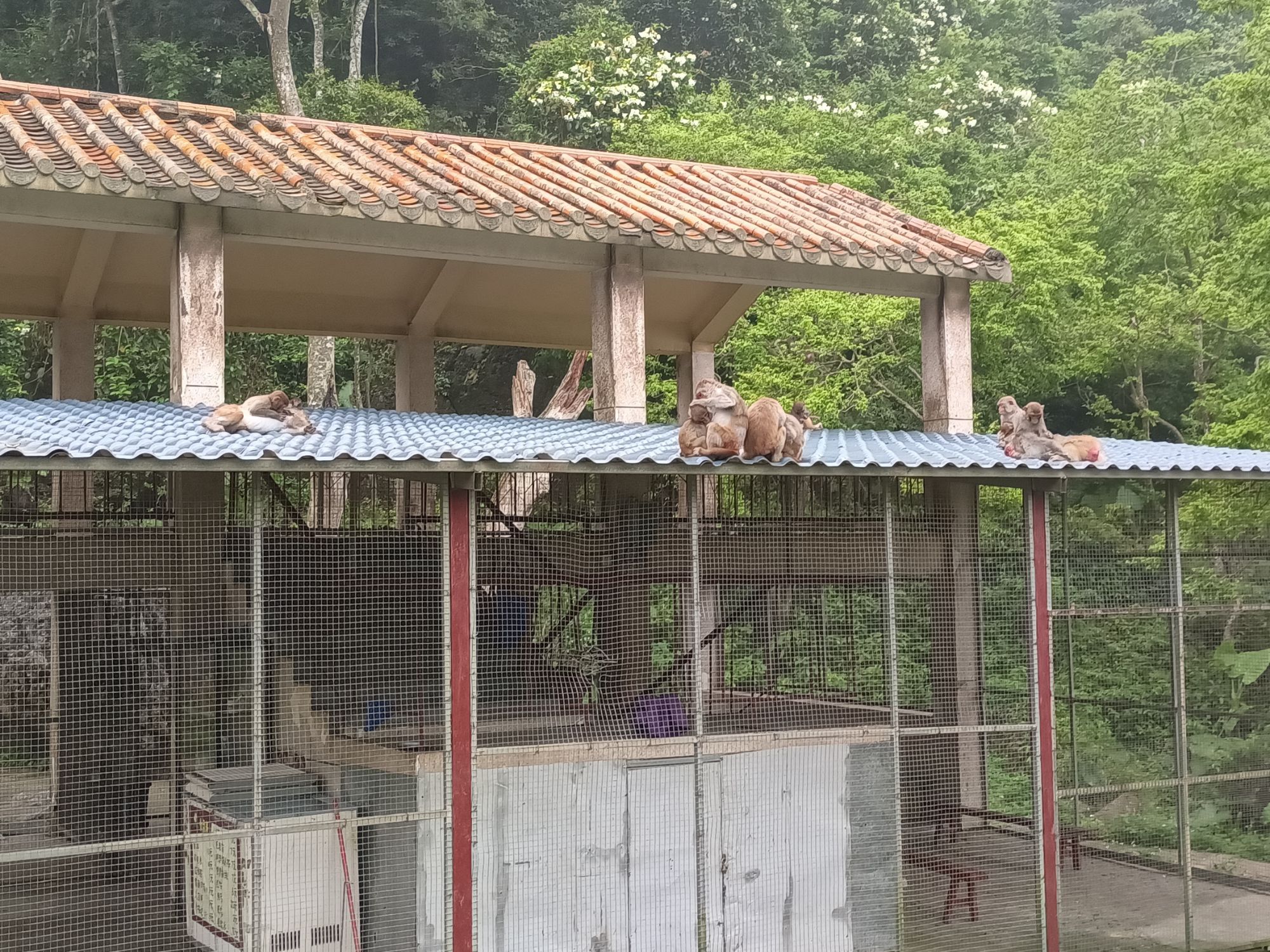 龙虎山旅行图片 3