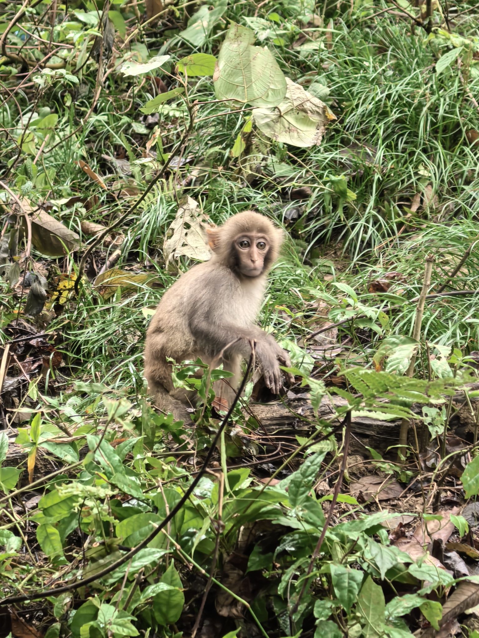 龙虎山旅行图片 2