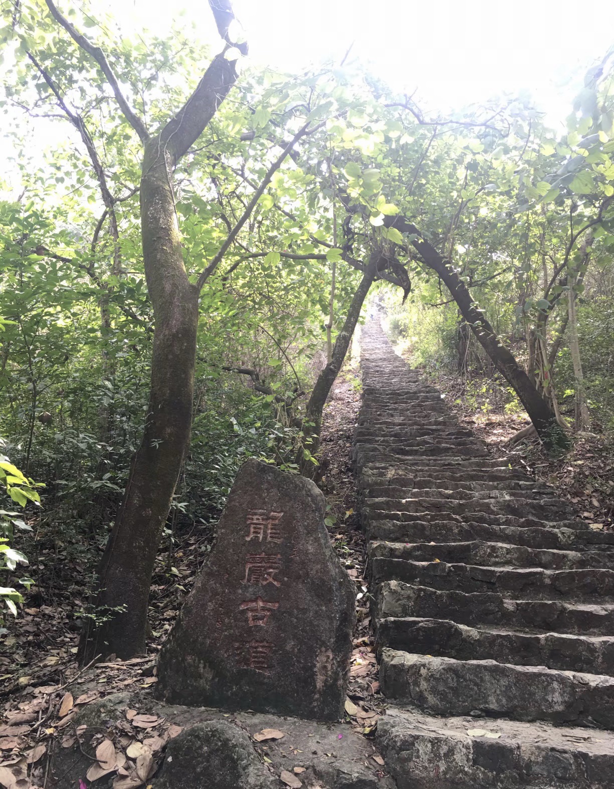 龙岩公园旅行图片 2