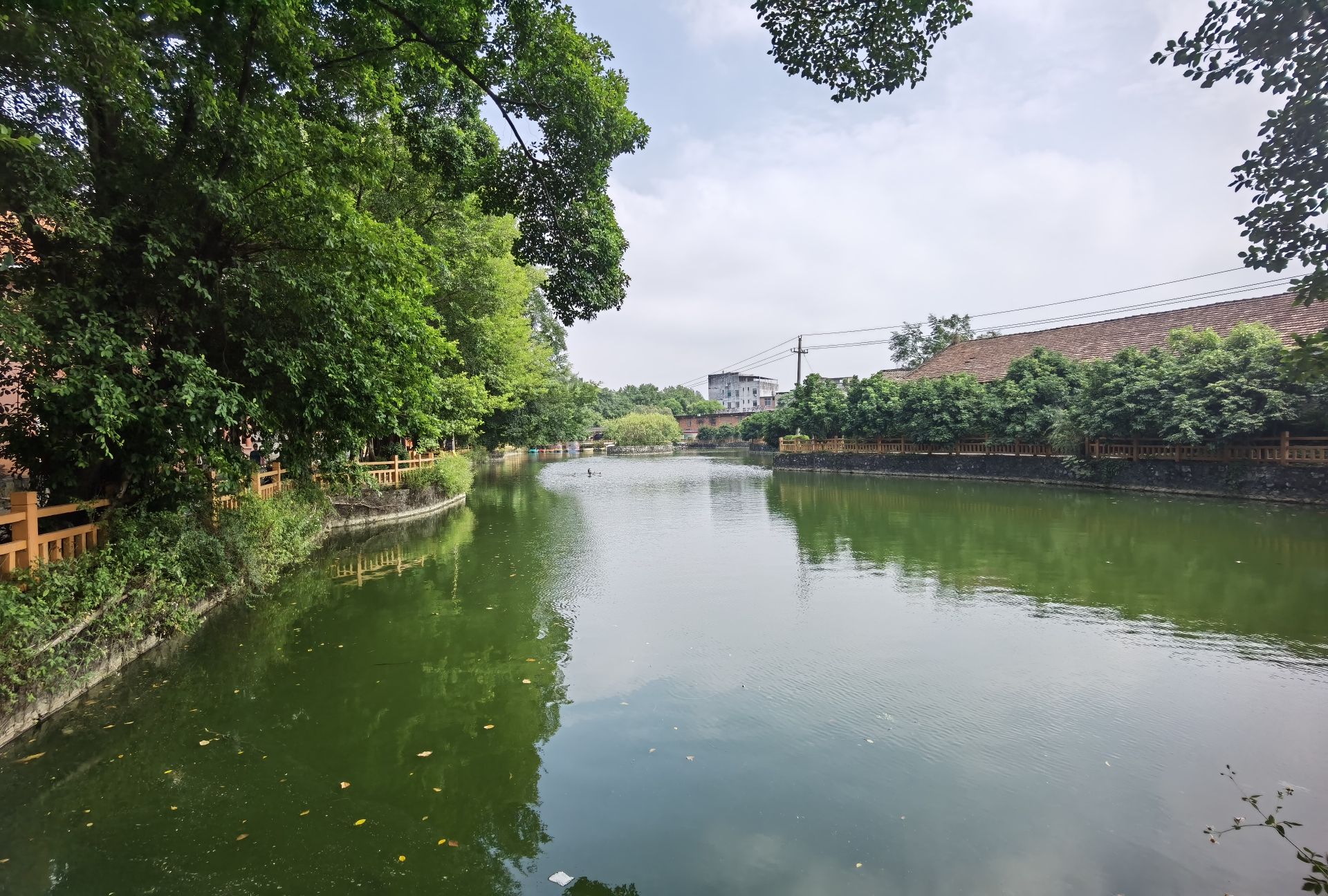 龙岩公园旅行图片 3