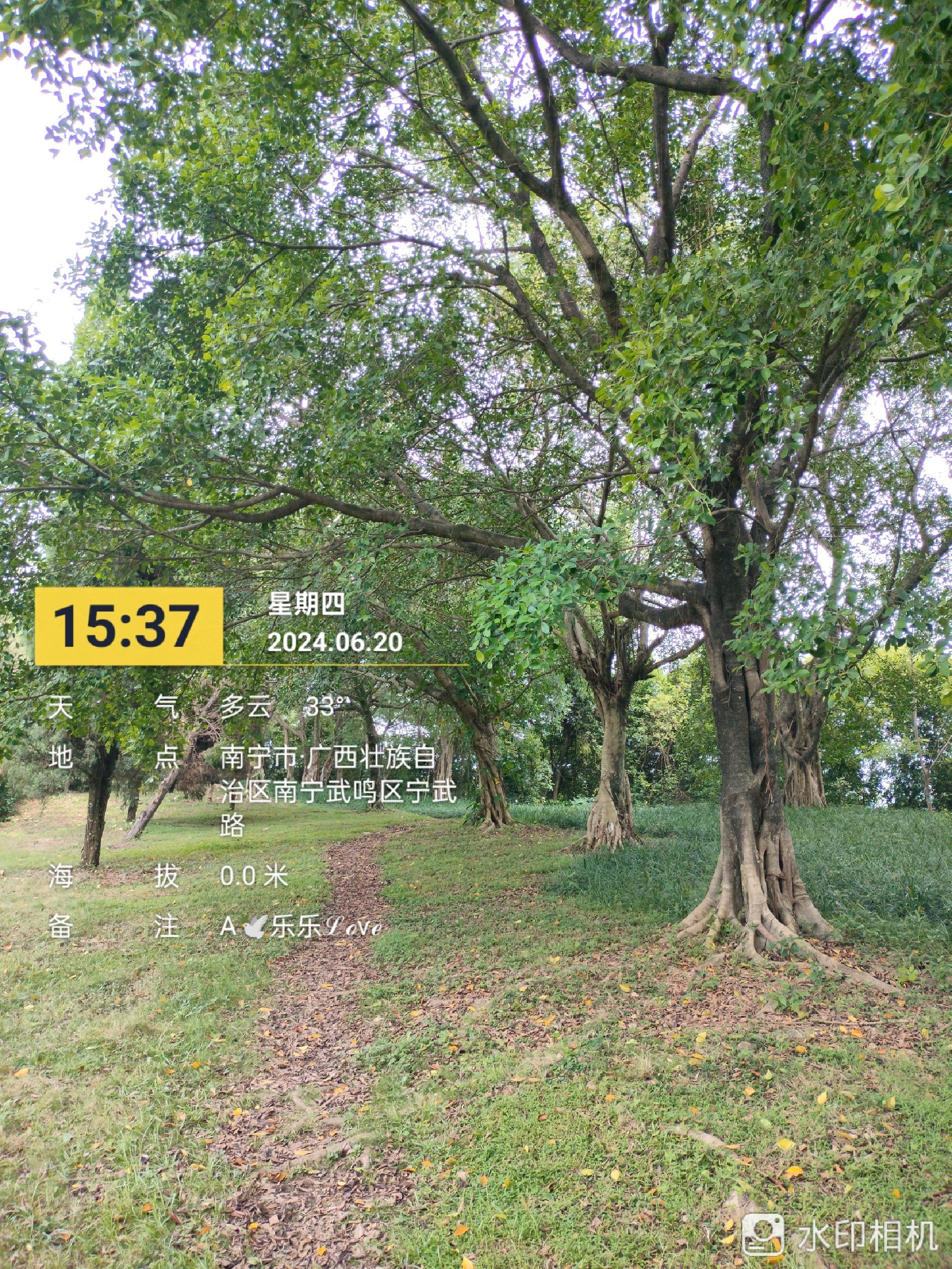 狮子山公园旅行图片 3