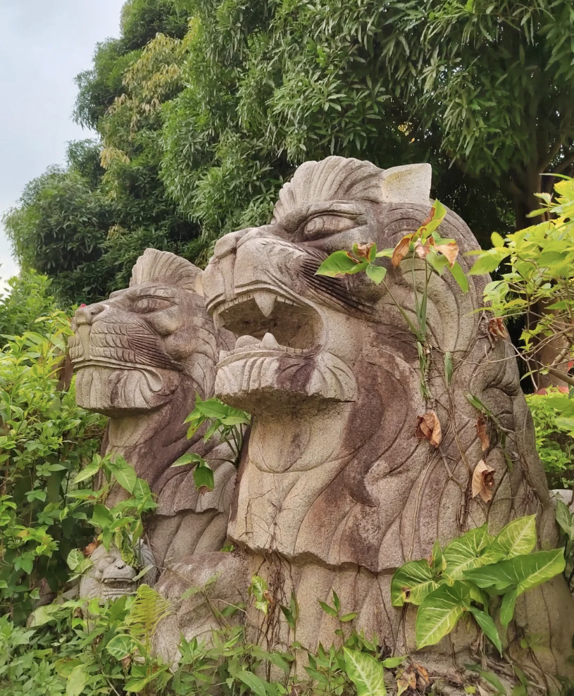 狮子山公园旅行图片 2