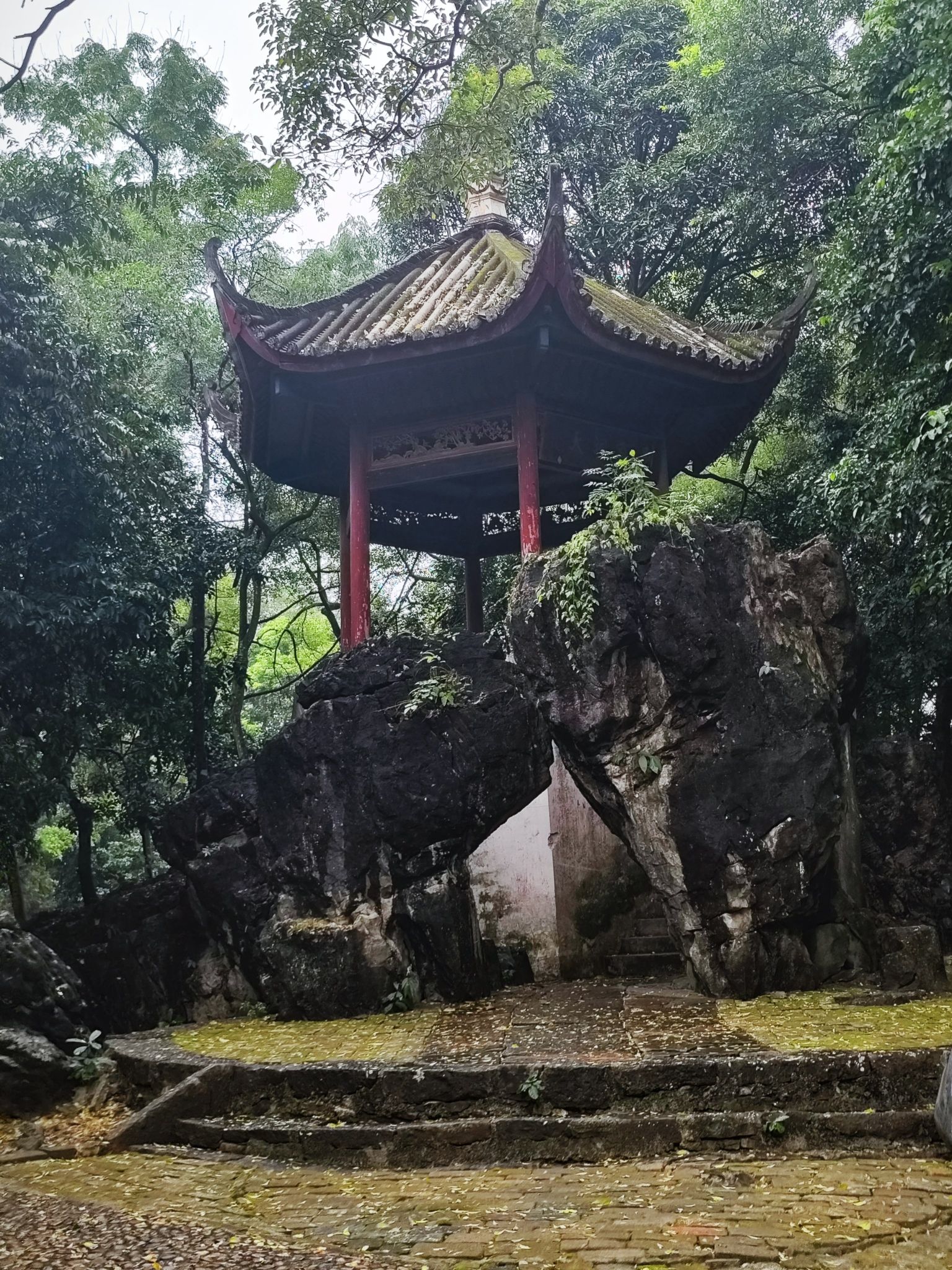 明秀园旅行图片 1