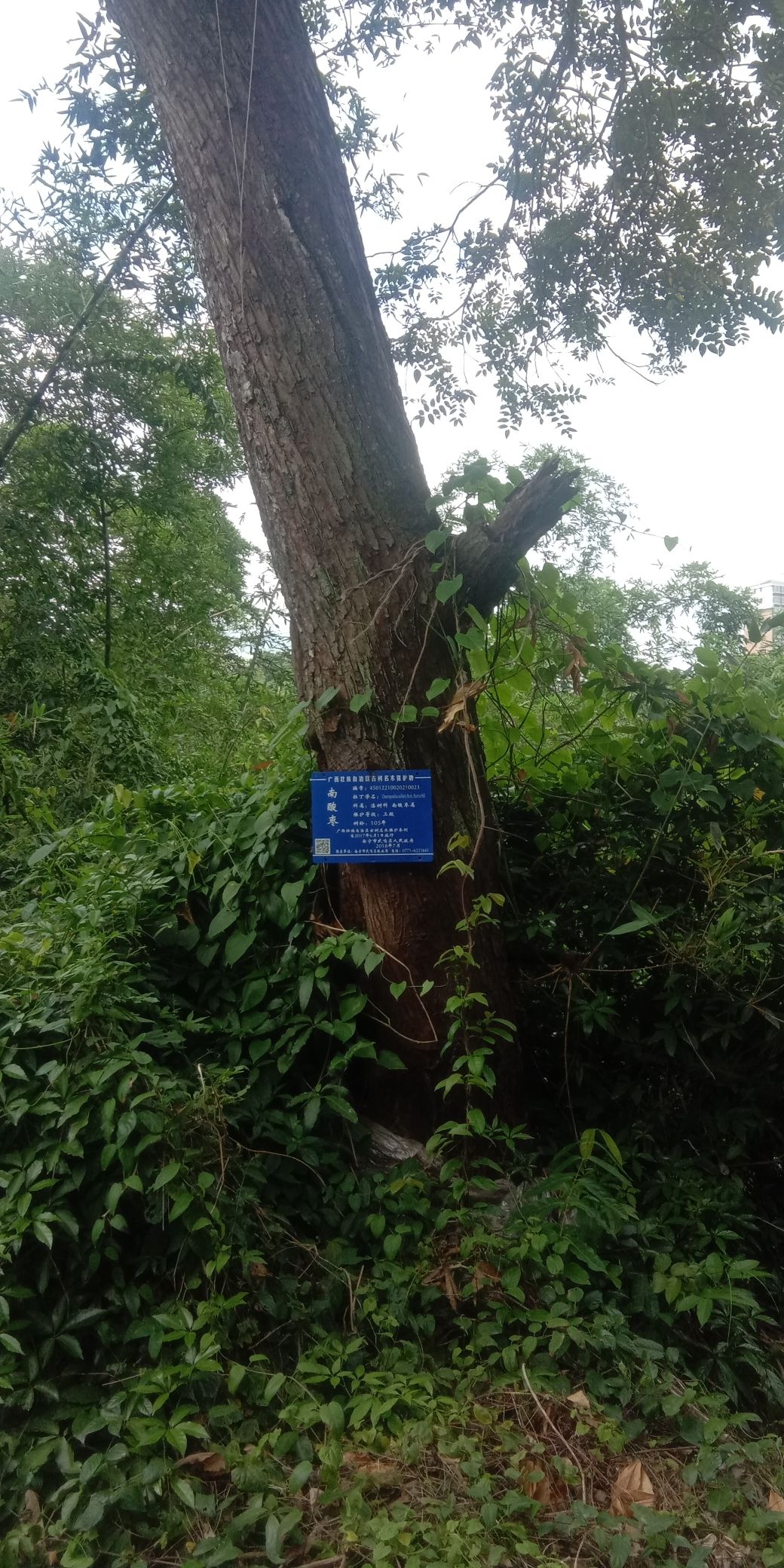 明秀园旅行图片 3
