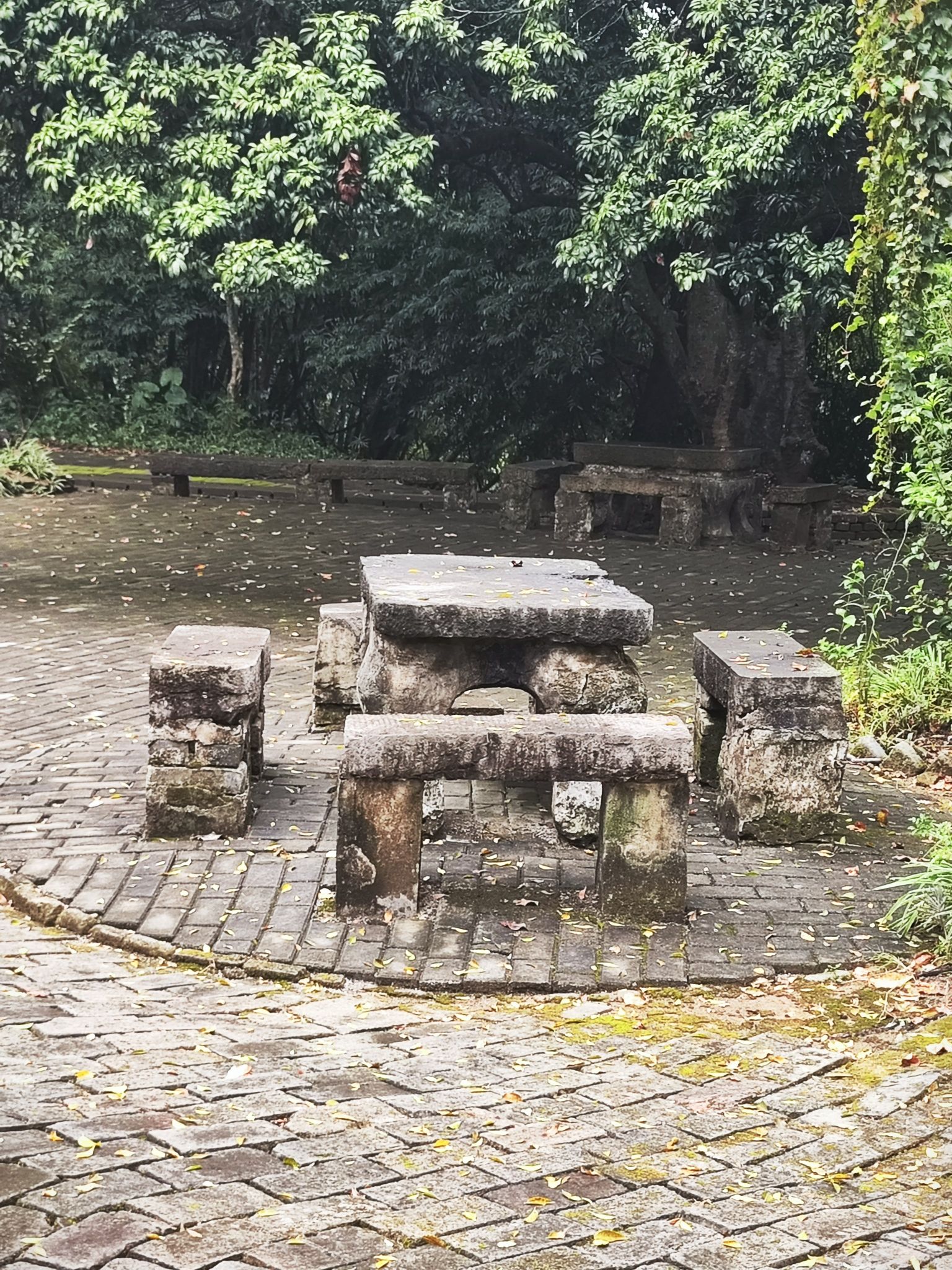 明秀园旅行图片 3
