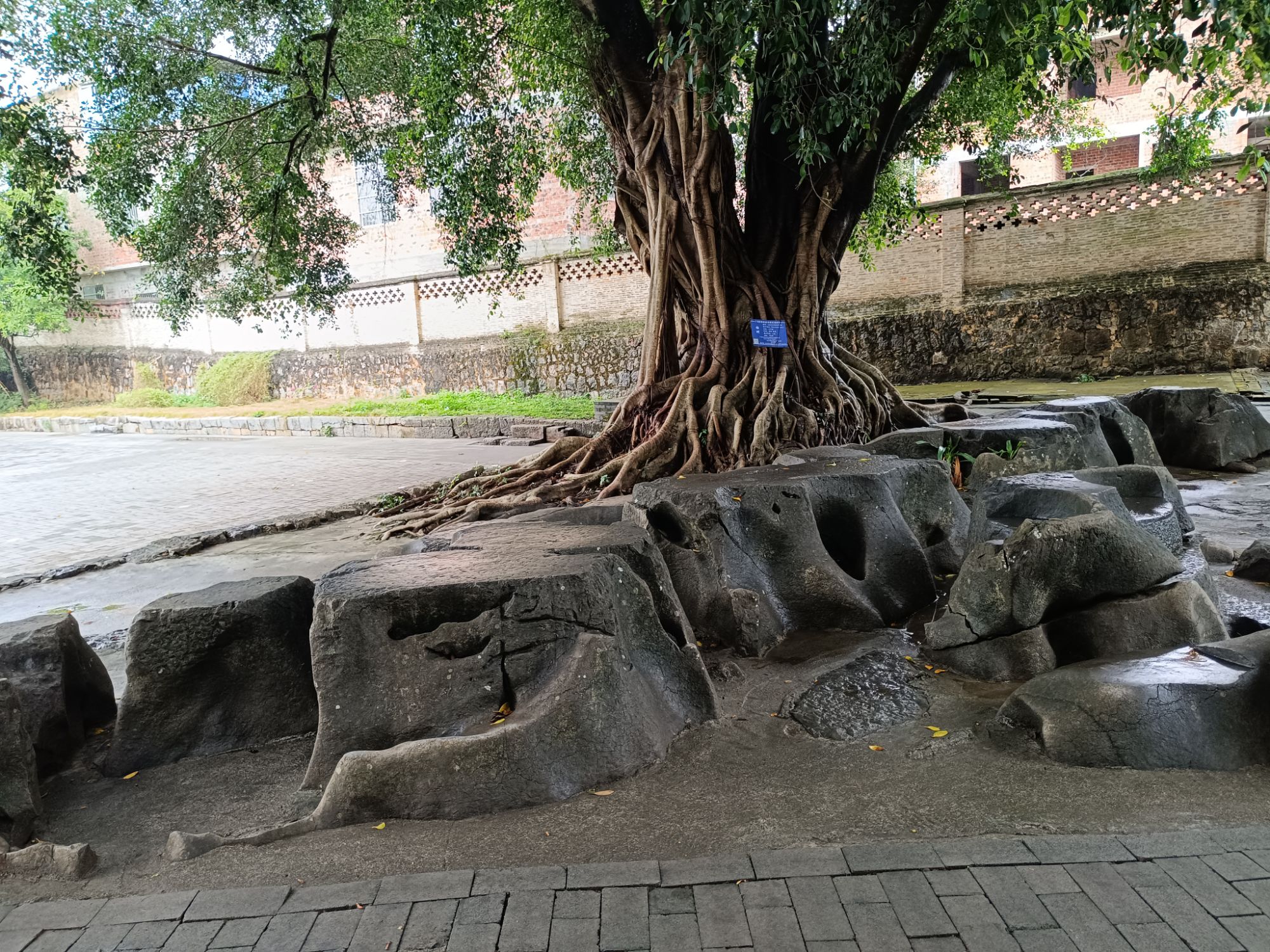 明秀园旅行图片 2
