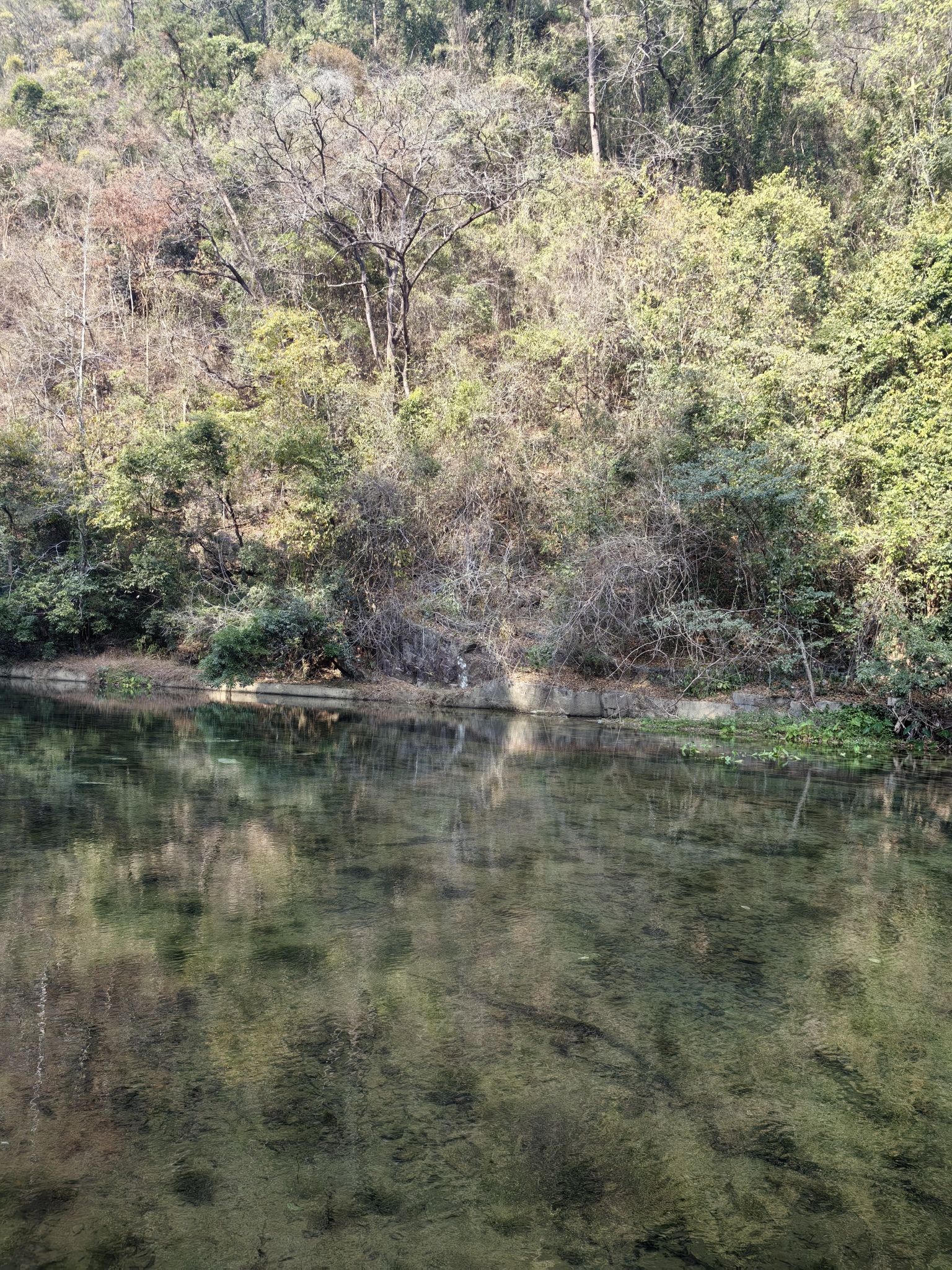 九龙瀑布群国家森林公园旅行图片 1