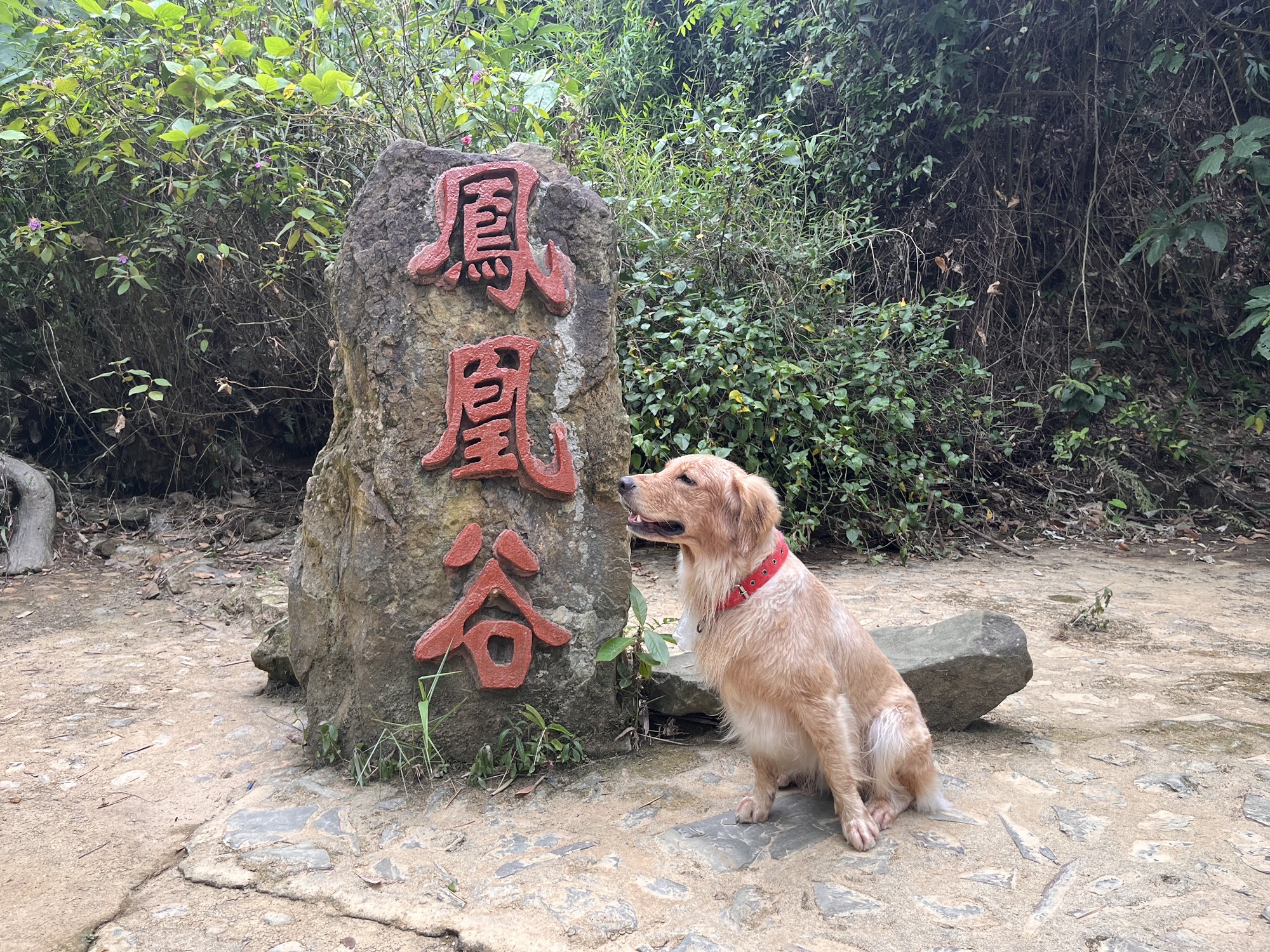 凤凰谷旅行图片 3