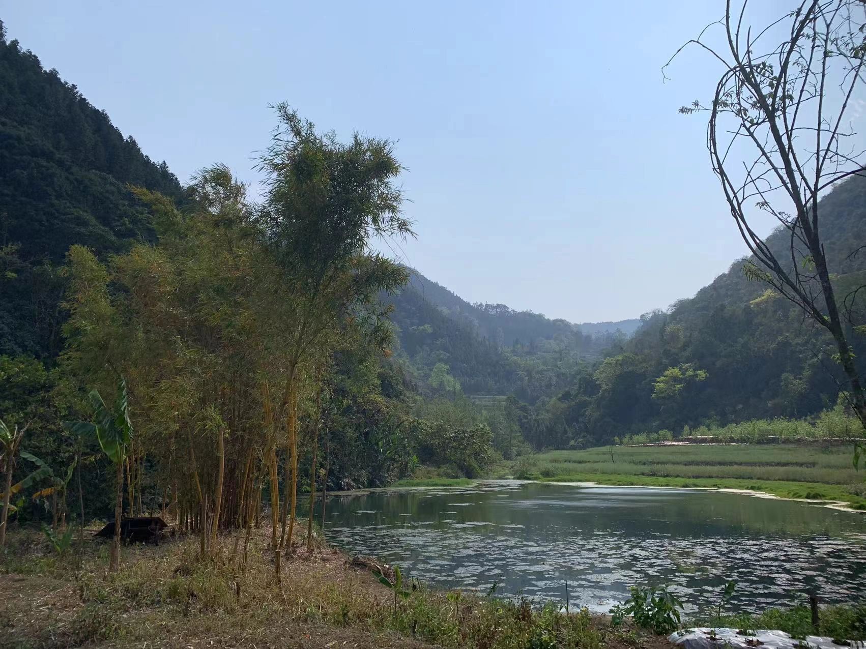 凤凰谷旅行图片 2