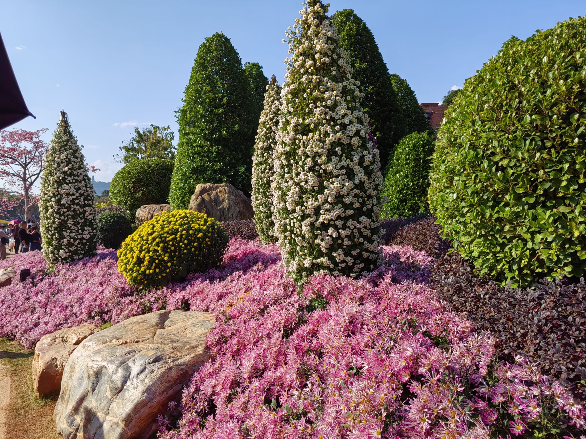 青秀山风景区旅行图片 3