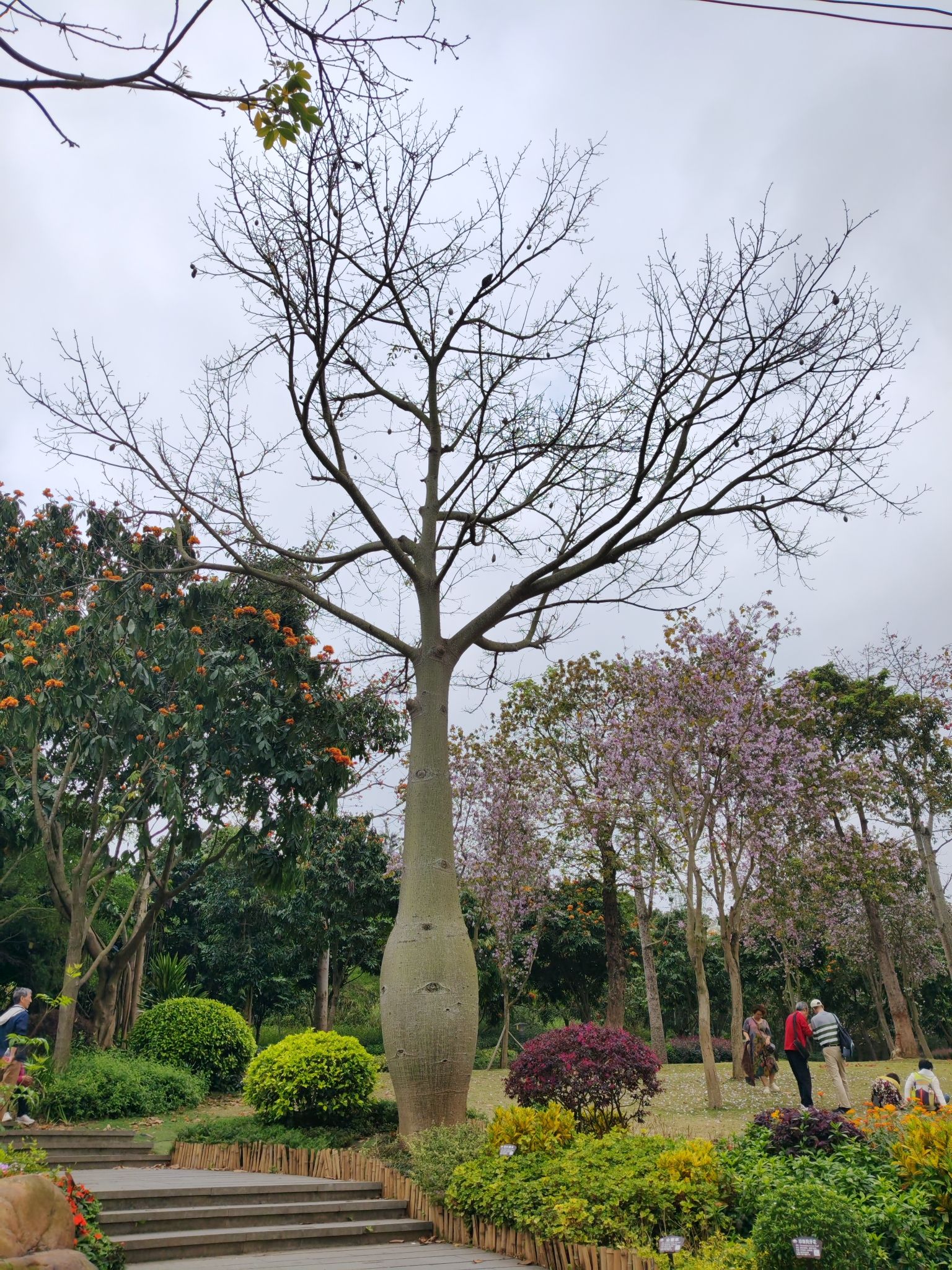 青秀山风景区旅行图片 3