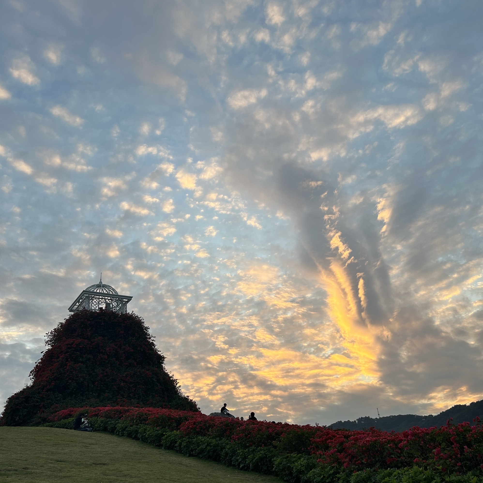 青秀山风景区旅行图片 2