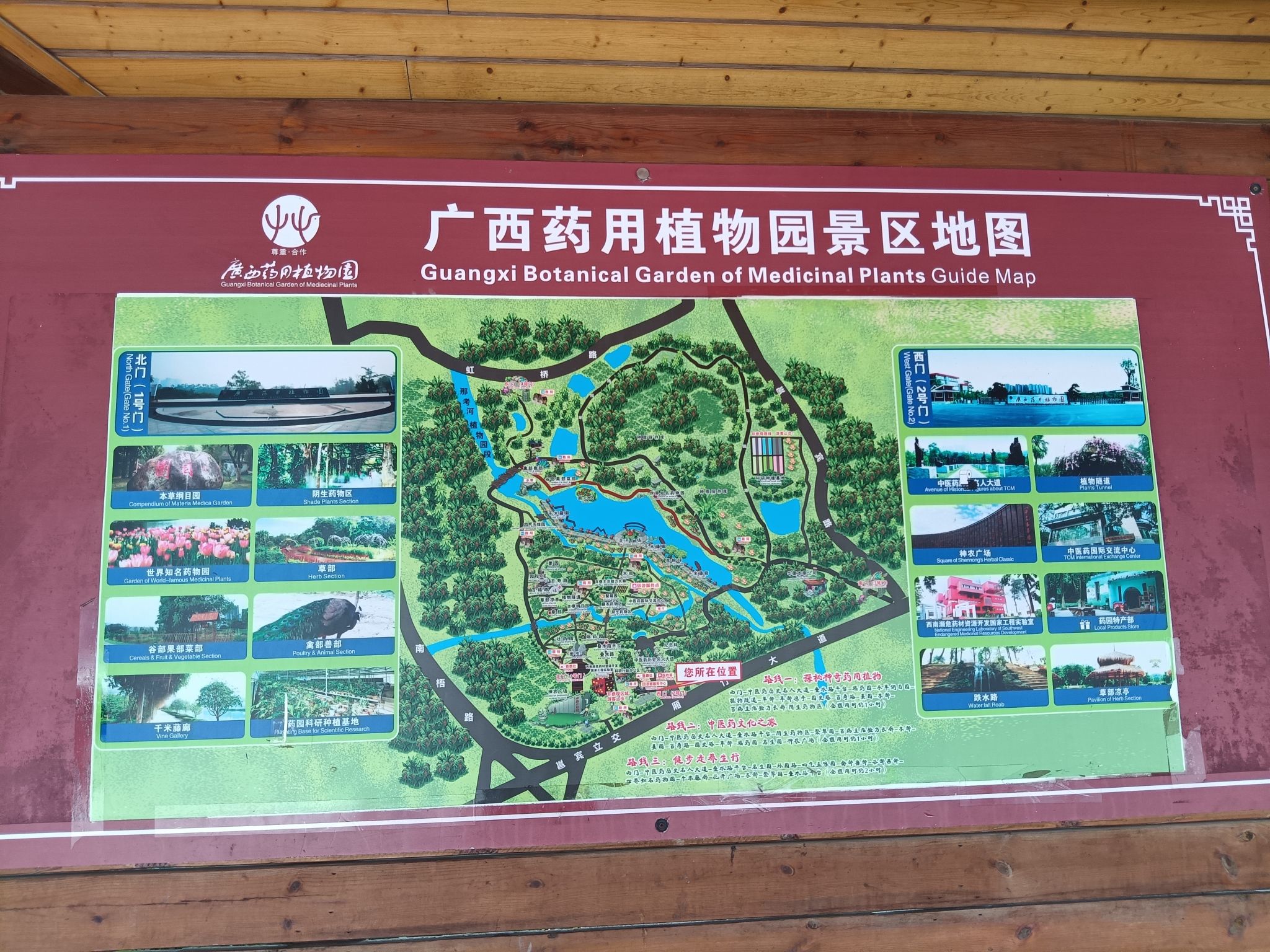 广西壮族自治区药用植物园旅行图片 2
