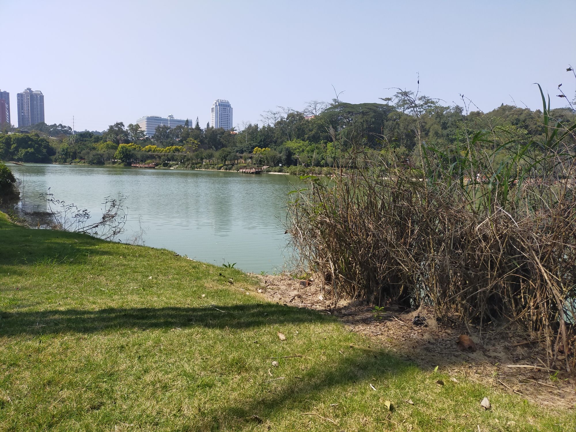 广西壮族自治区药用植物园旅行图片 2