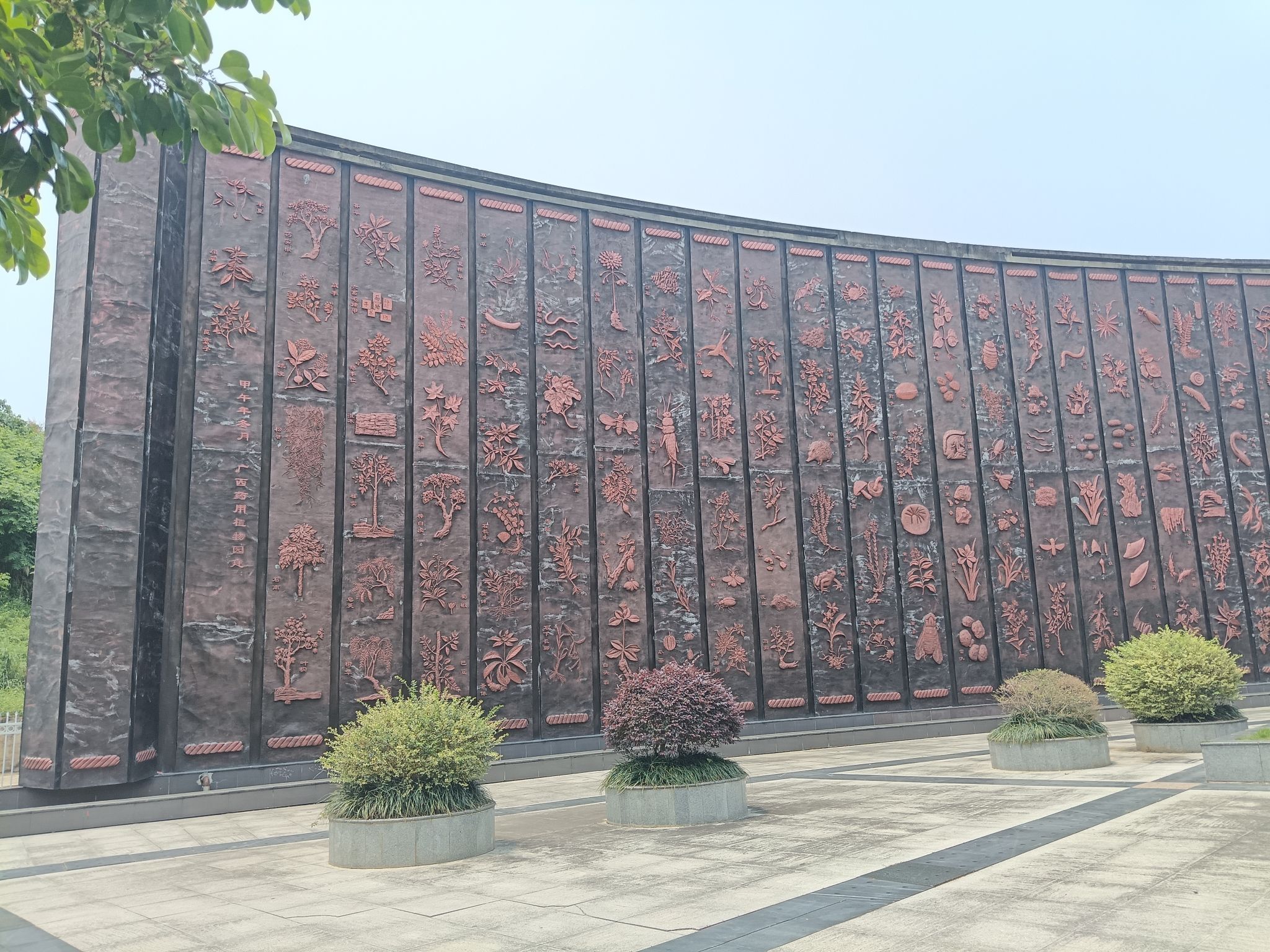 广西壮族自治区药用植物园旅行图片 3