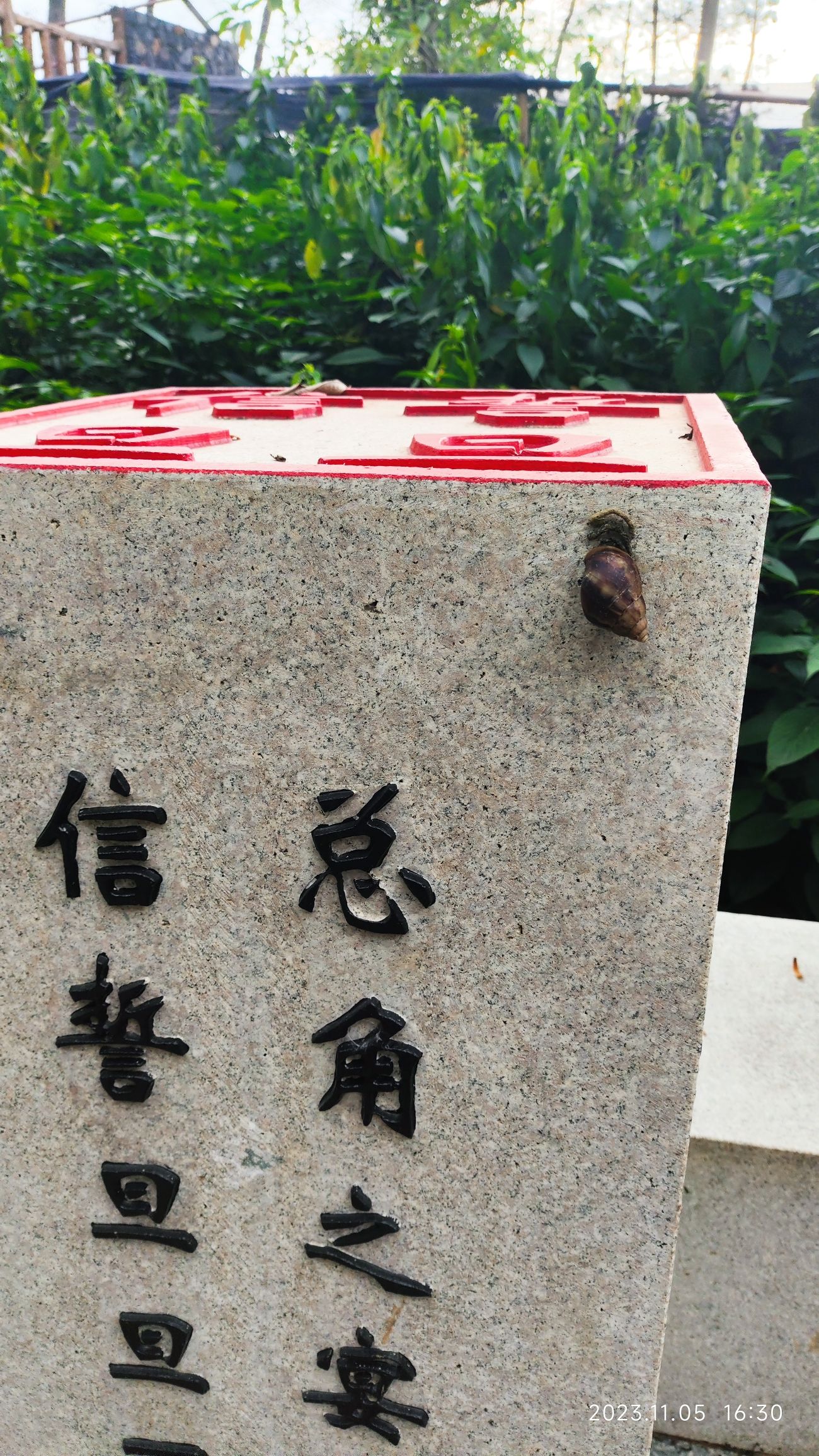 广西壮族自治区药用植物园旅行图片 3
