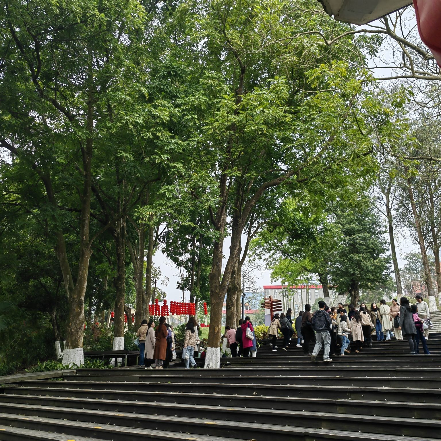 广西壮族自治区药用植物园旅行图片 2