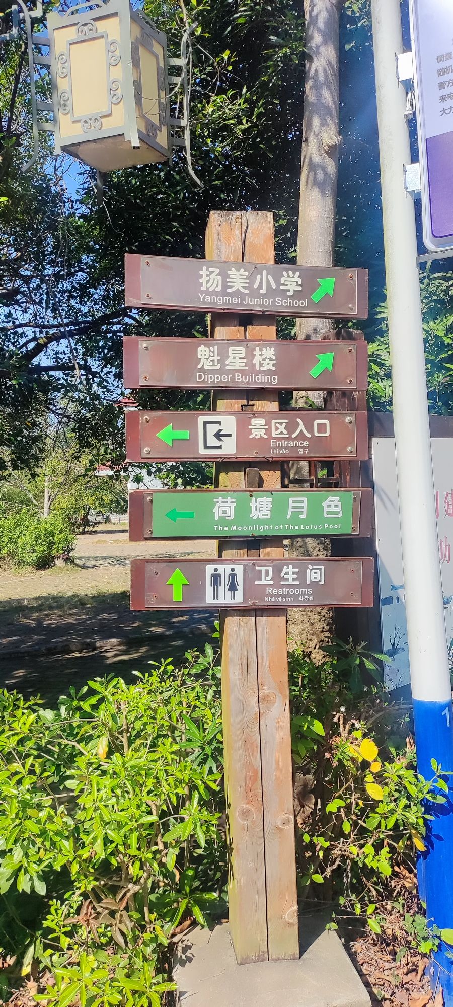 扬美古镇旅行图片 2