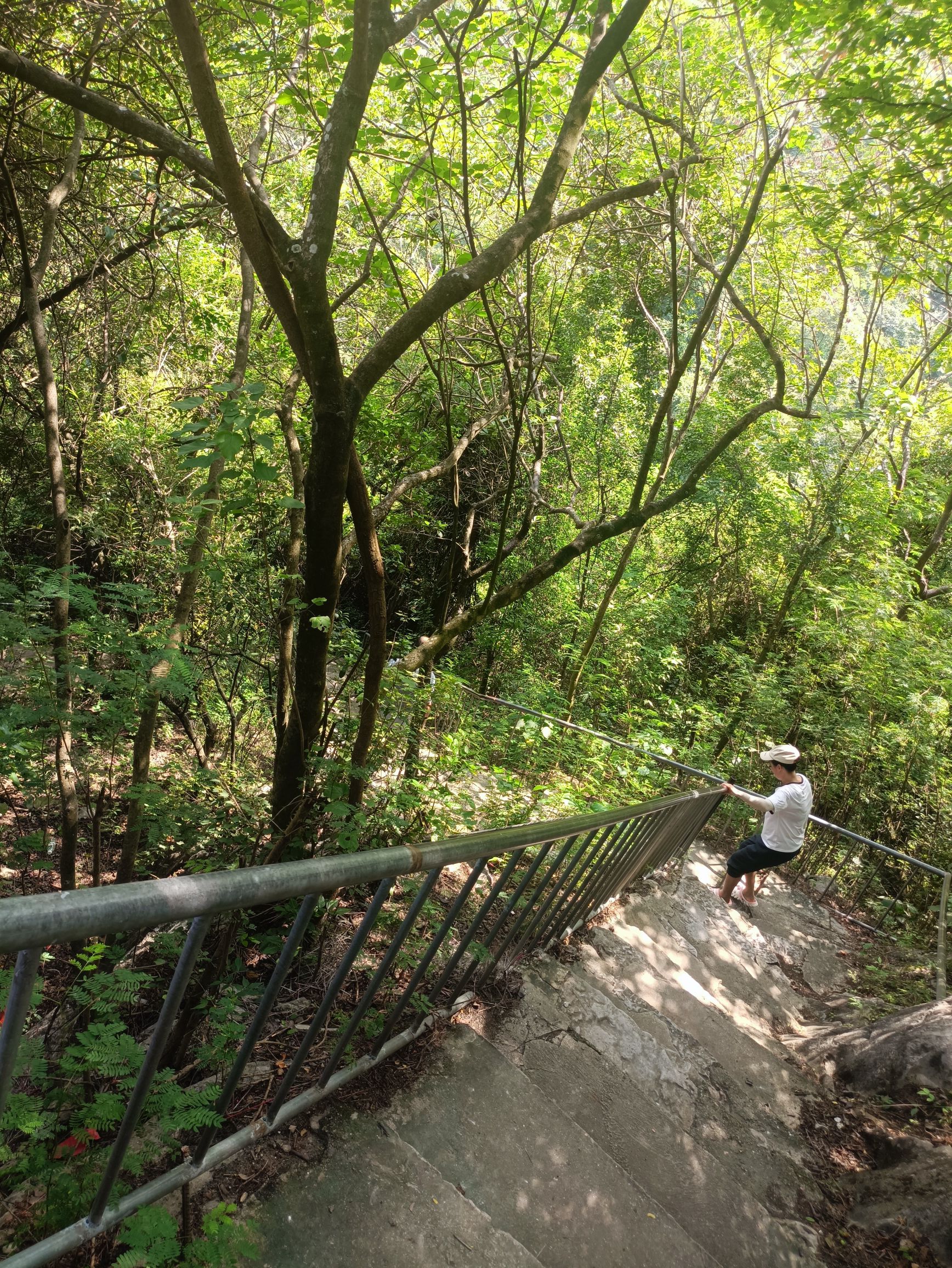 黄道山景区旅行图片 1