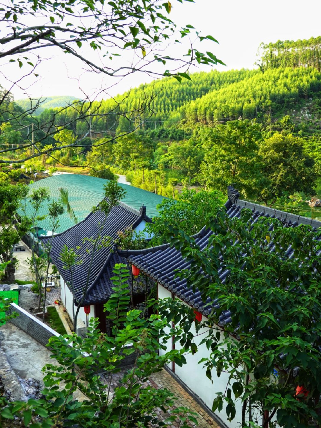 黄道山景区旅行图片 1