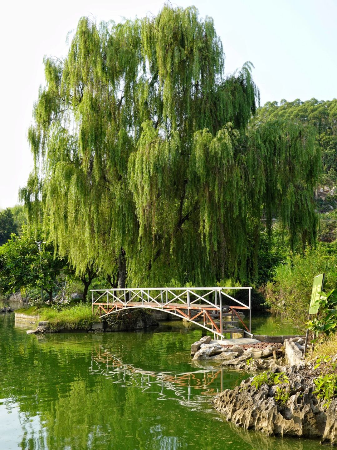 黄道山景区旅行图片 3