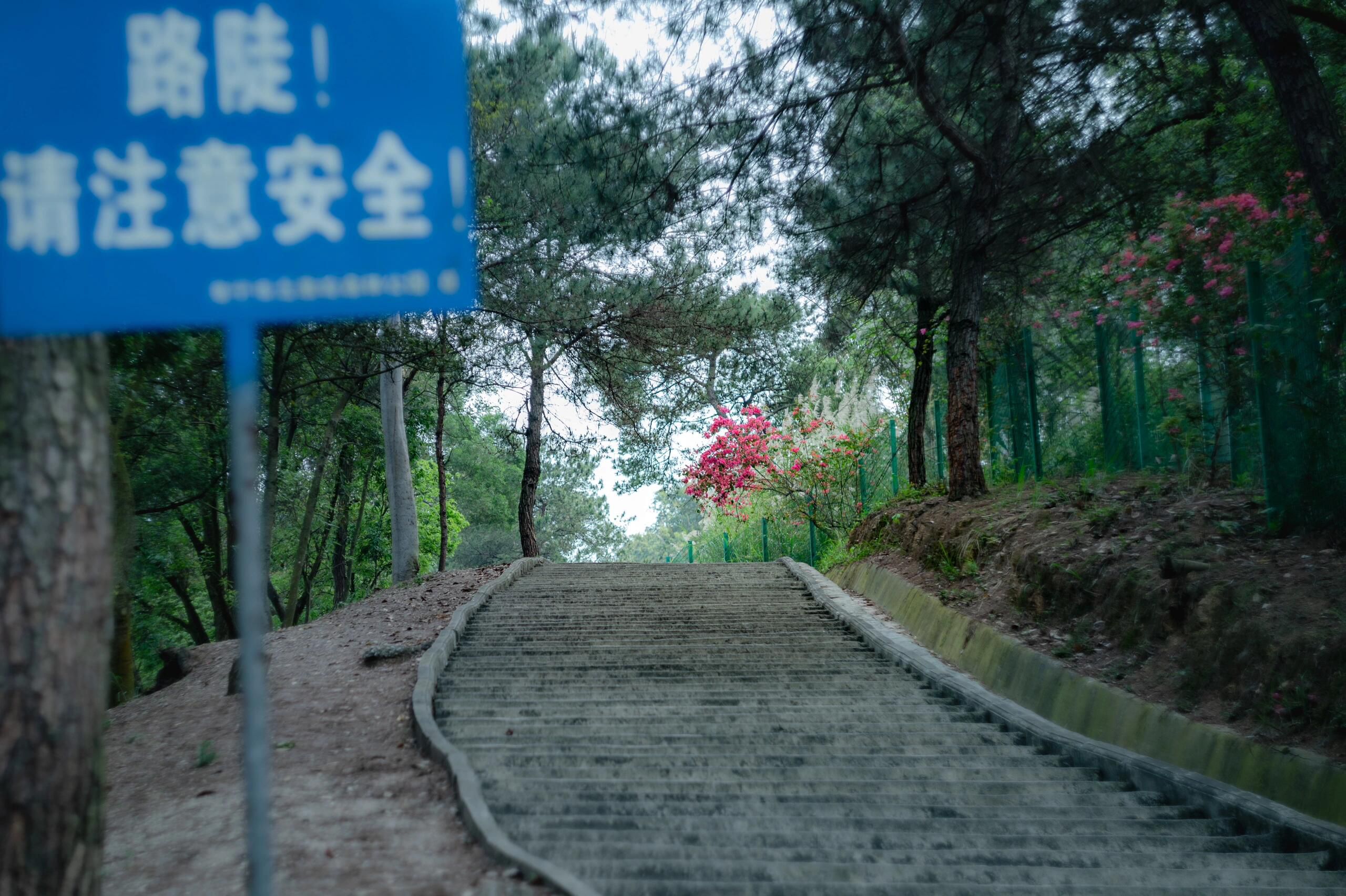 五象岭森林公园旅行图片 2