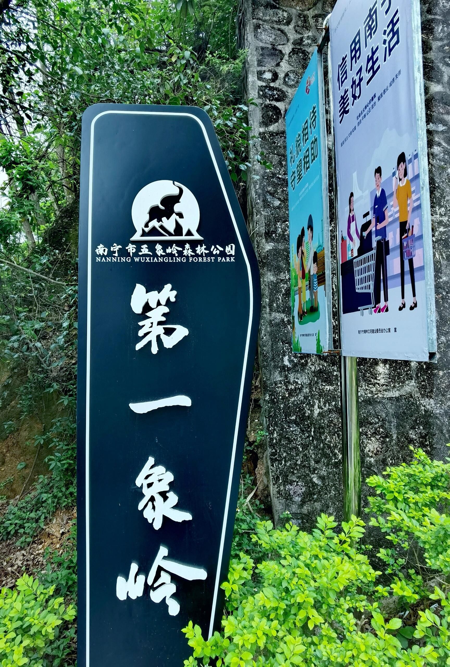 五象岭森林公园旅行图片 1