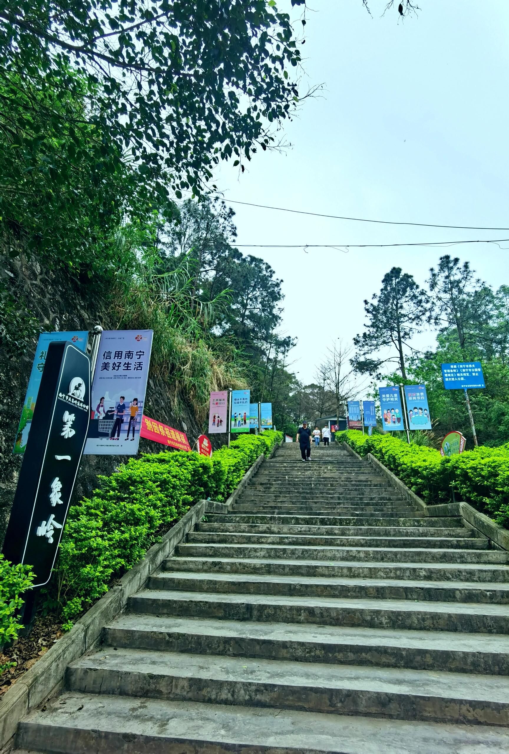 五象岭森林公园旅行图片 2
