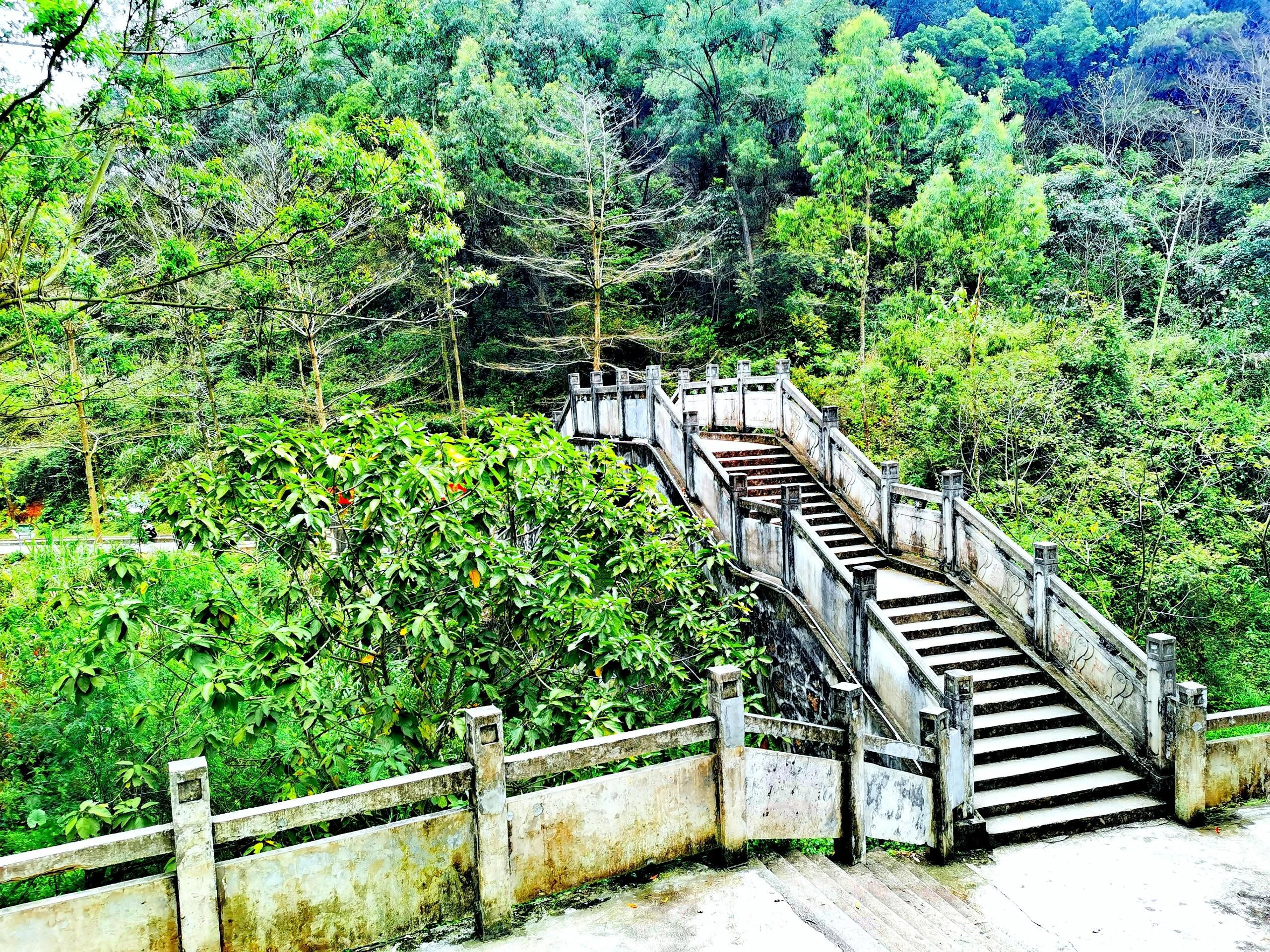 五象岭森林公园旅行图片 3