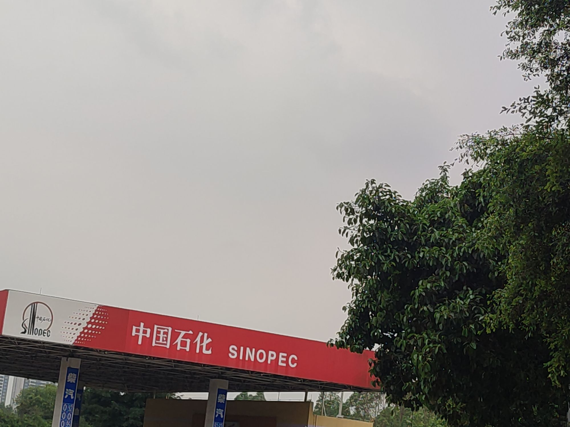 中国石化壮茂加油站