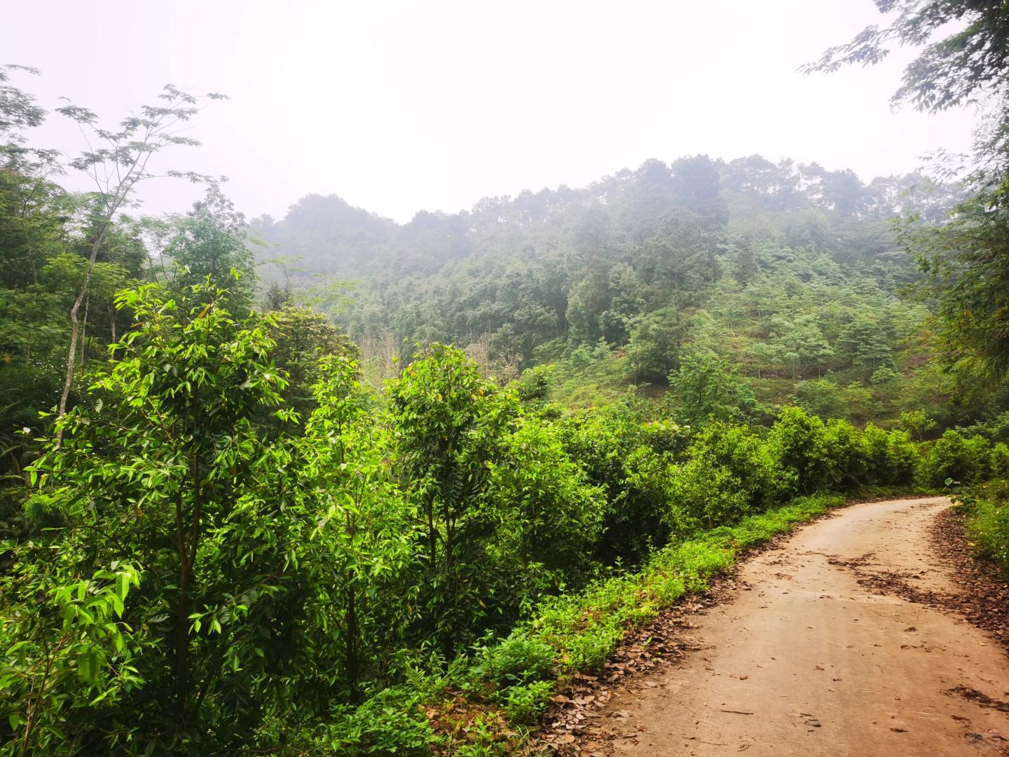 老虎岭水库旅行图片 2