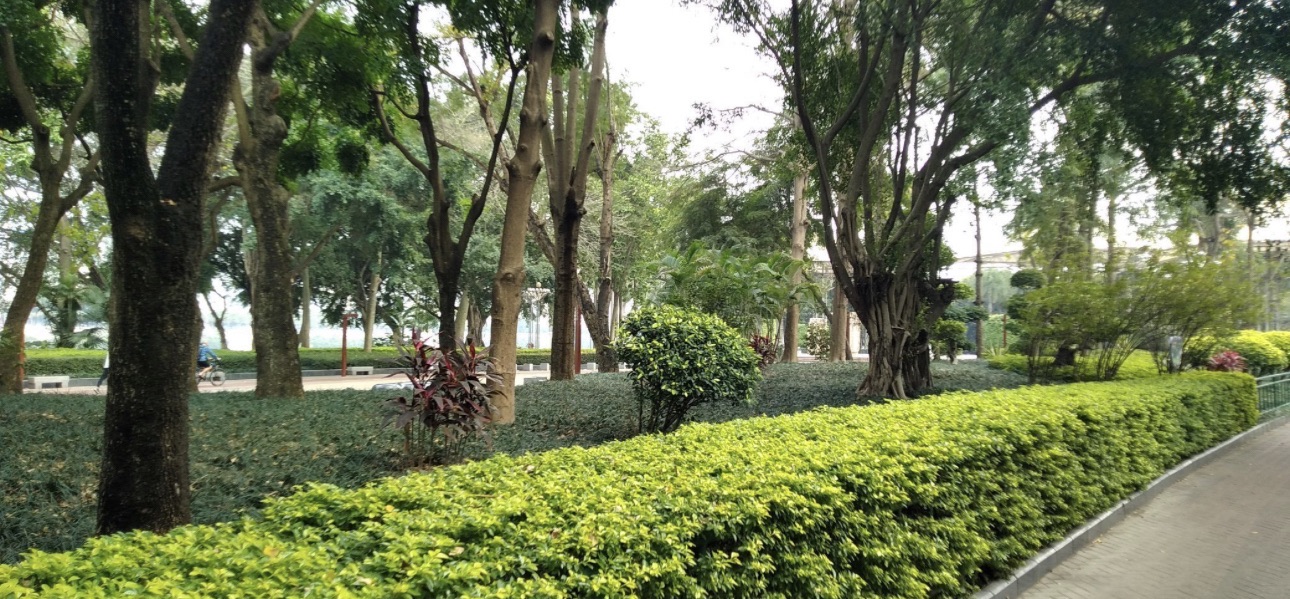南宁市邕江一桥江滨休闲公园旅行图片 3