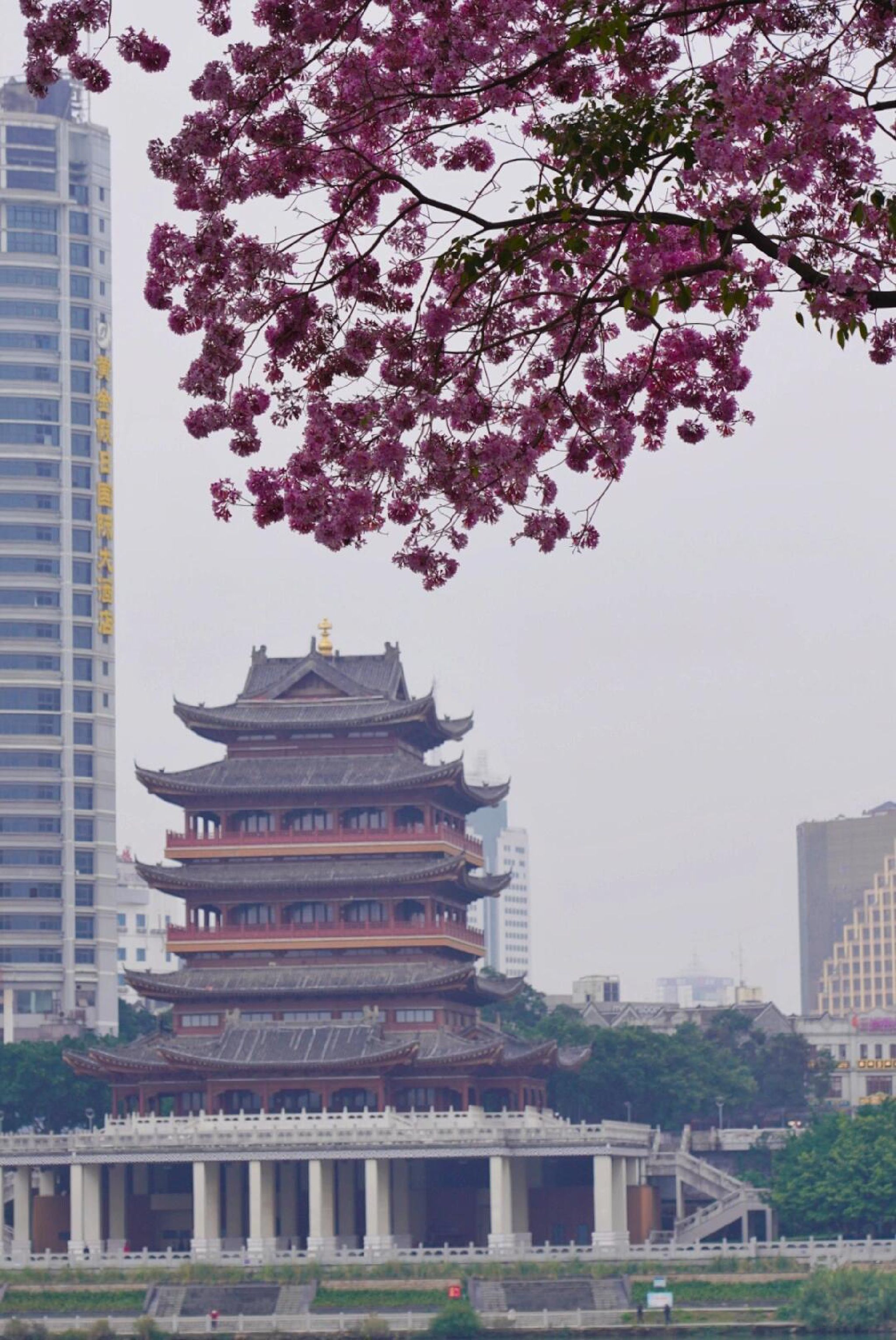 南宁市邕江一桥江滨休闲公园旅行图片 1