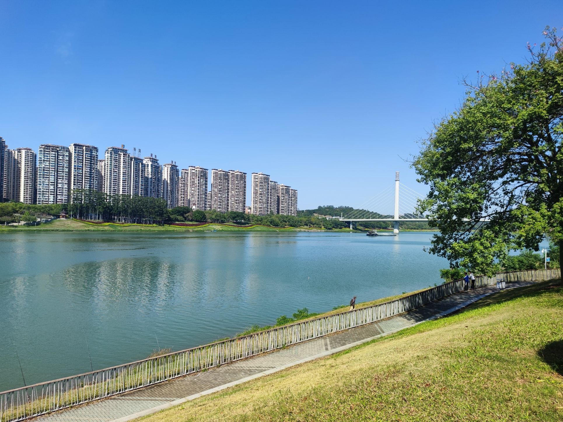 五象新区滨江公园旅行图片 2