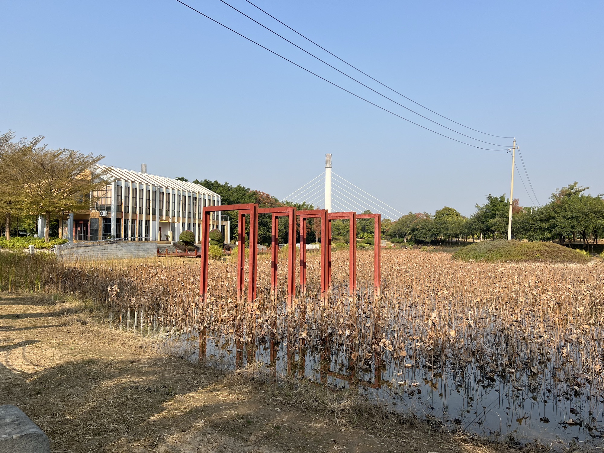 五象新区滨江公园旅行图片 2