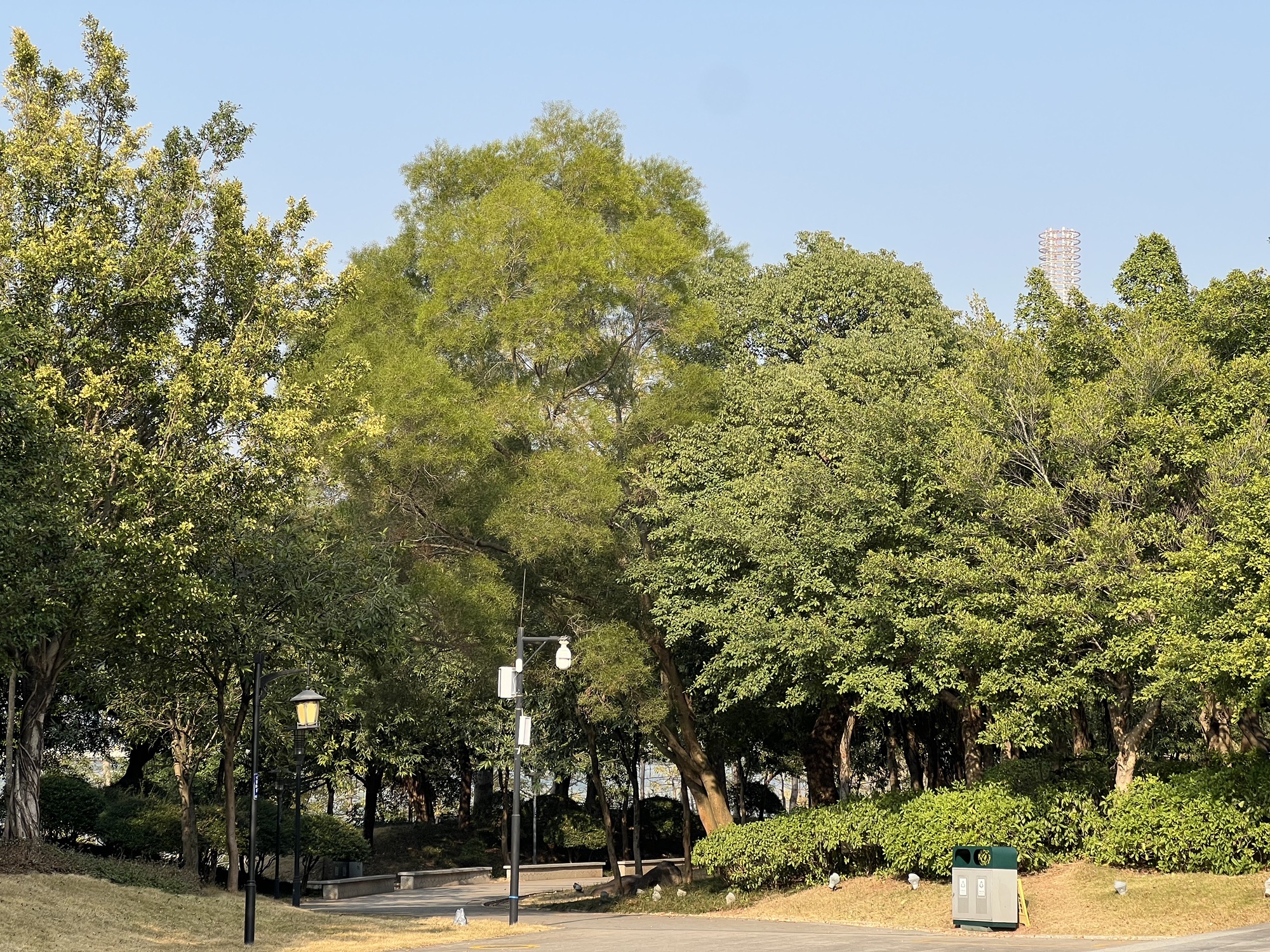 五象新区滨江公园旅行图片 3