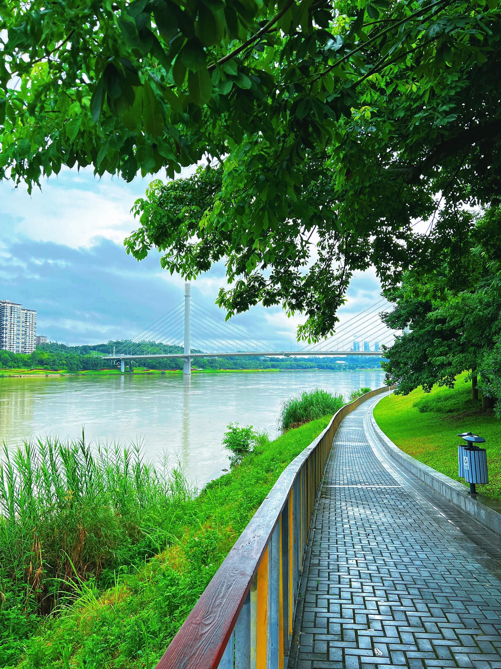 五象新区滨江公园旅行图片 2