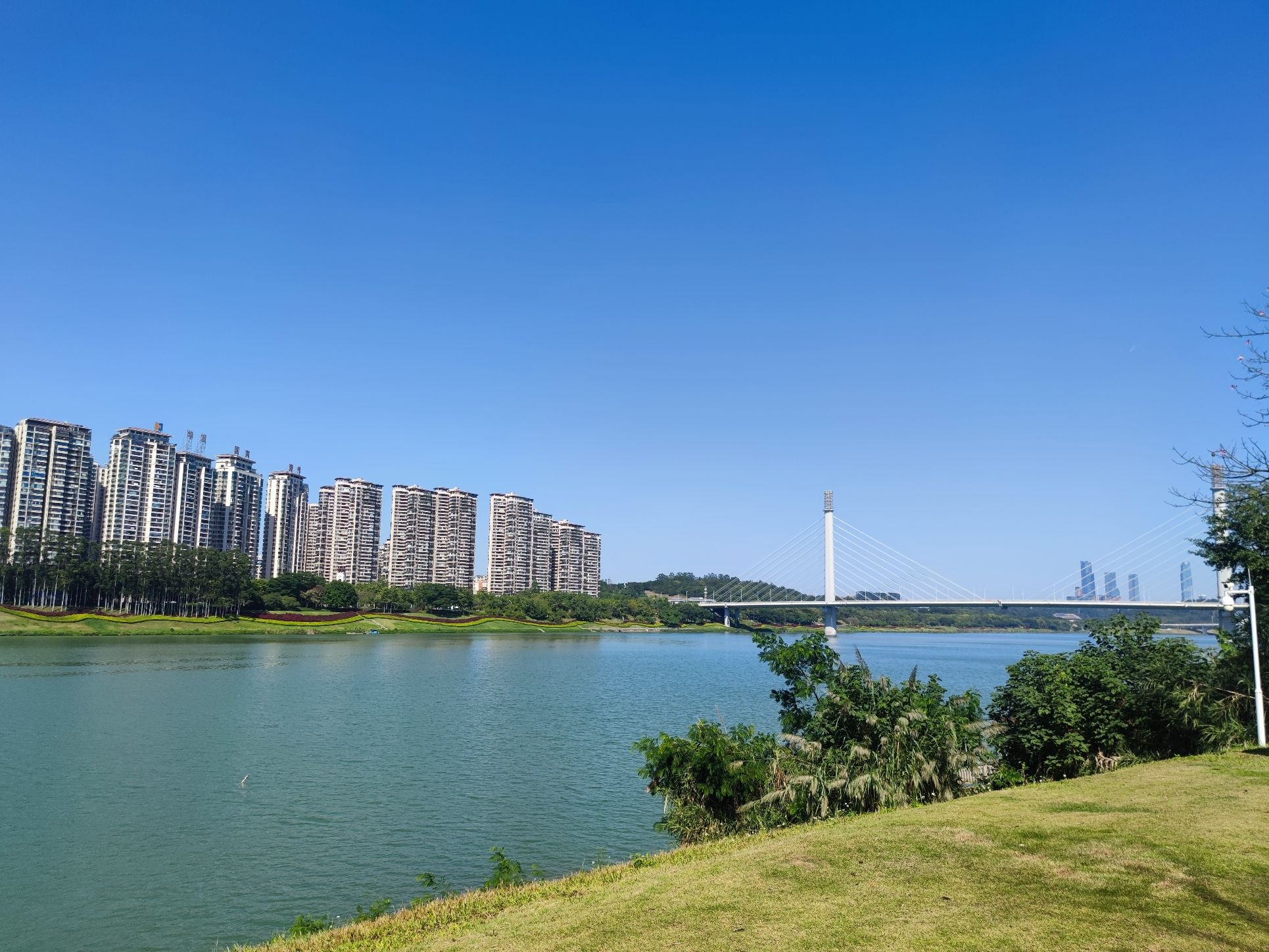 五象新区滨江公园旅行图片 1