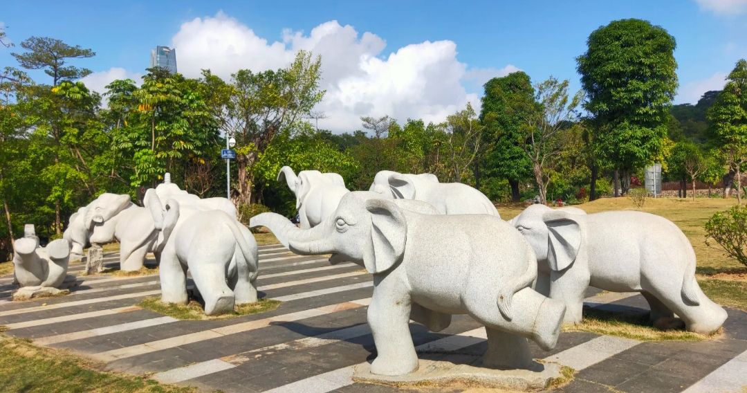 南宁市体育休闲公园旅行图片 2
