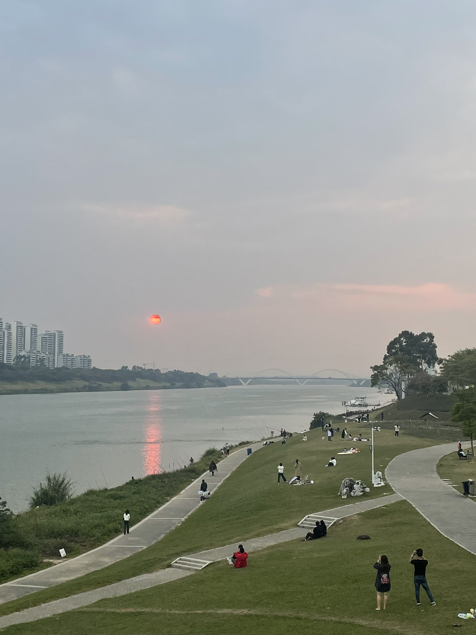 相思湖公园旅行图片 3