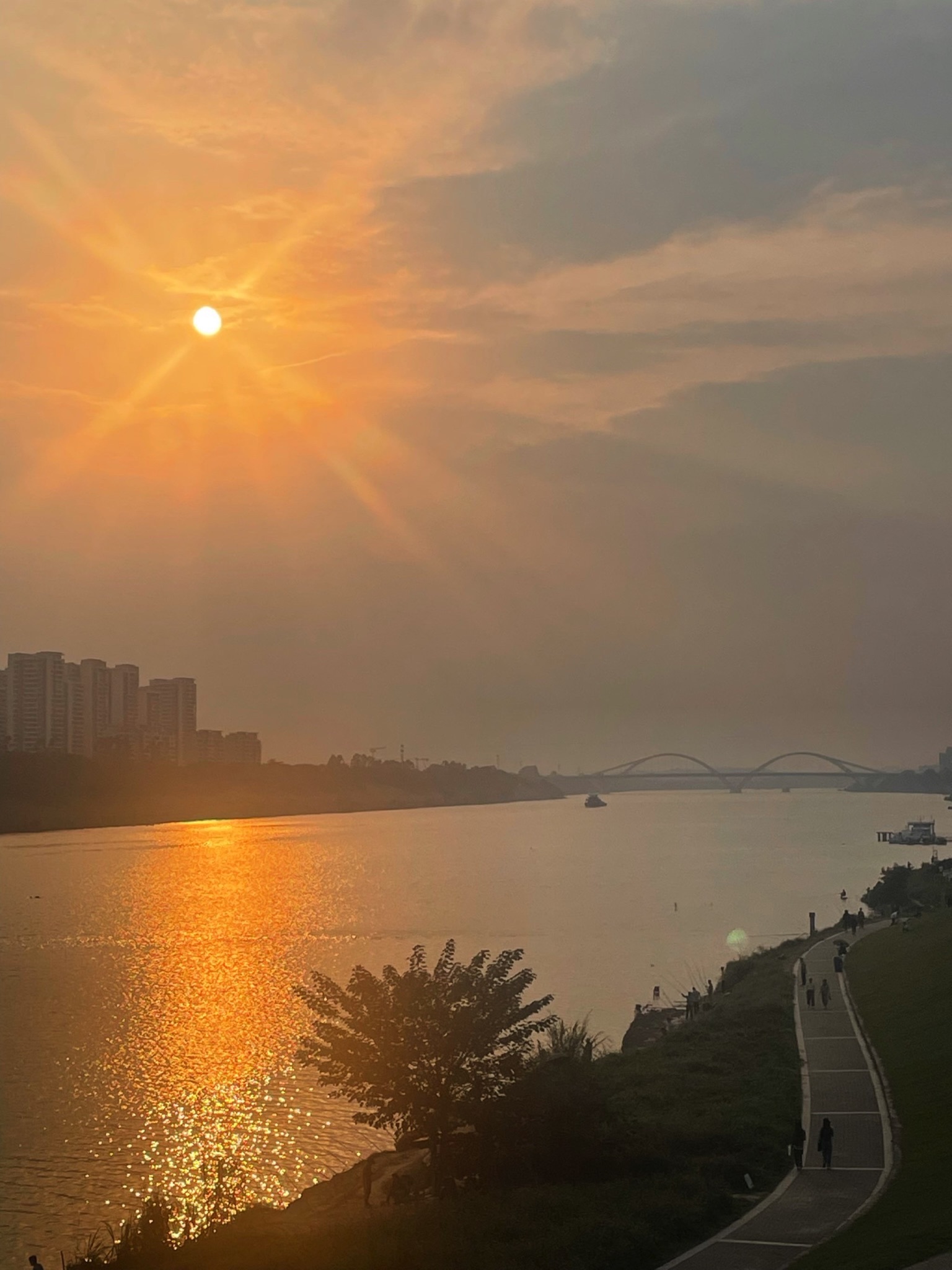 相思湖公园旅行图片 1