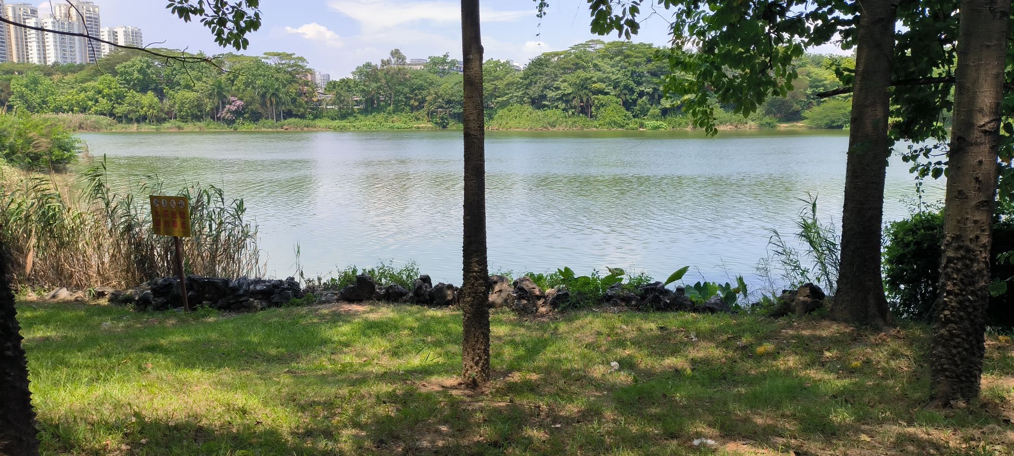 相思湖公园旅行图片 2