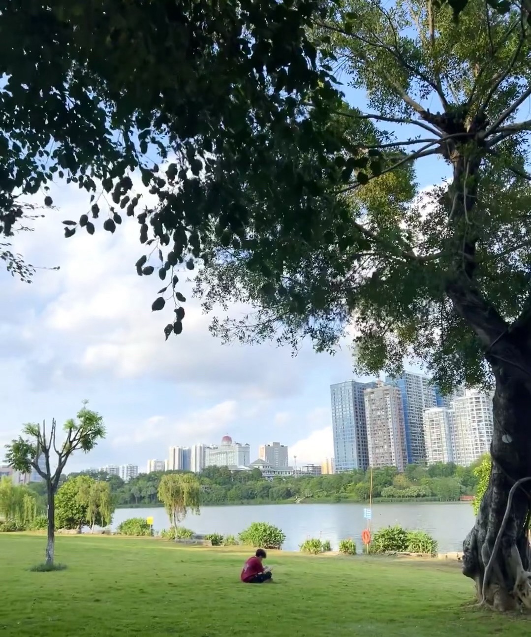 相思湖公园旅行图片 3